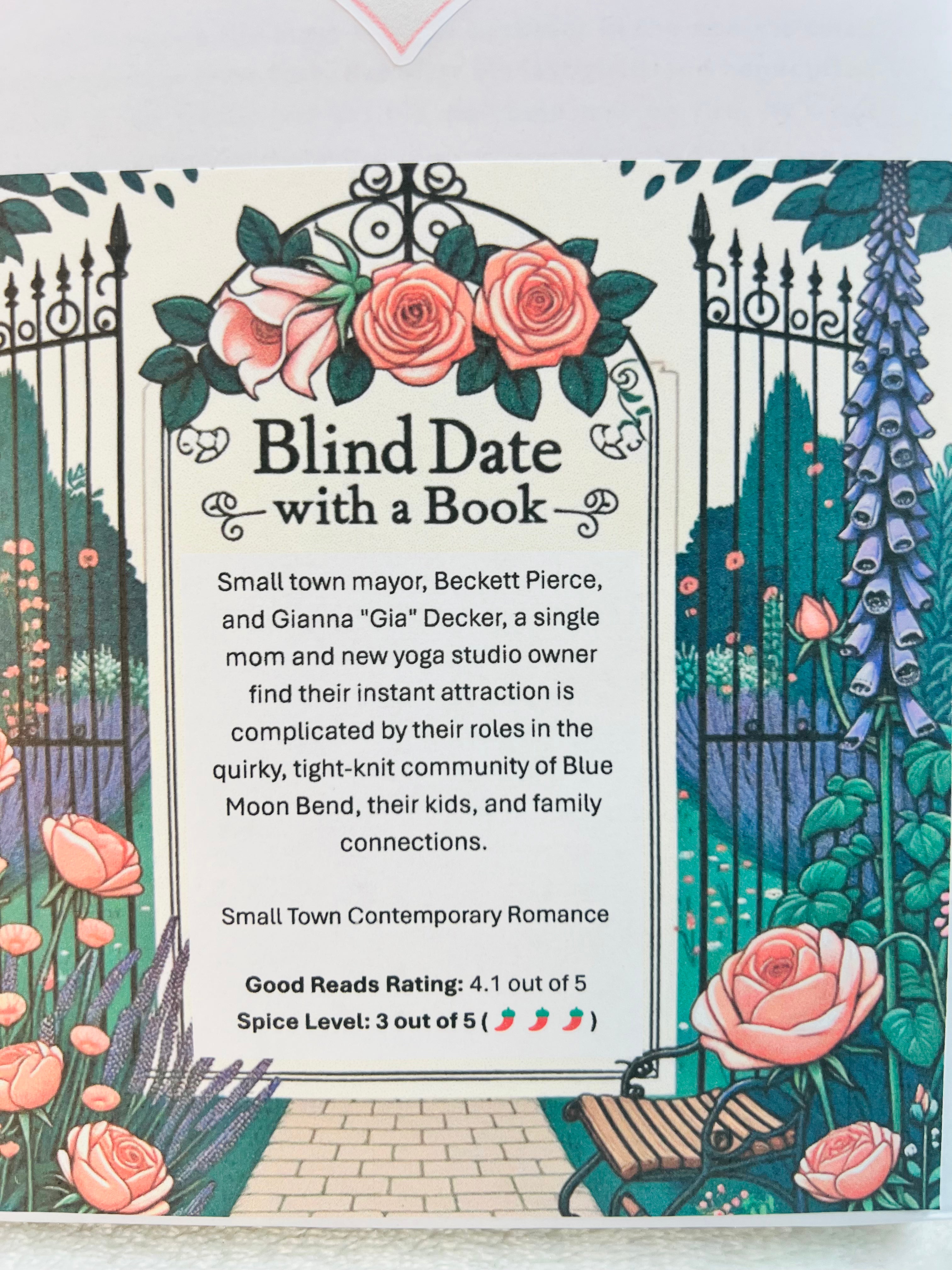 Small Town Contemporary Romance - New/Like New Blind Date with a Book 137