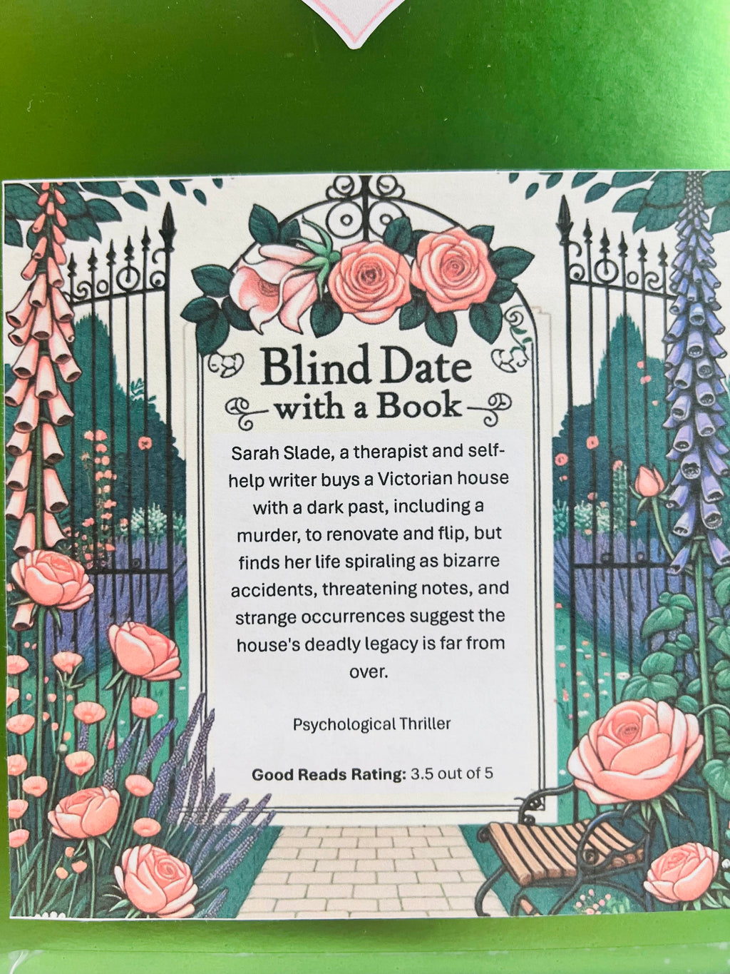 Psychological Thriller - New/Like New Blind Date with a Book 196