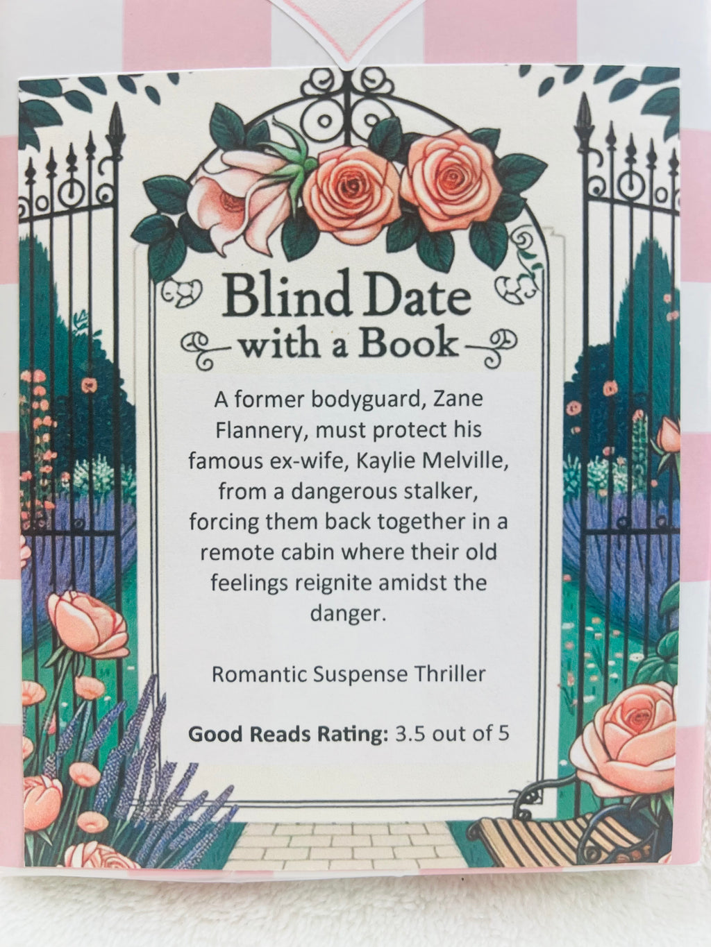Romantic Suspense Thriller - New/Like New Blind Date with a Book 225