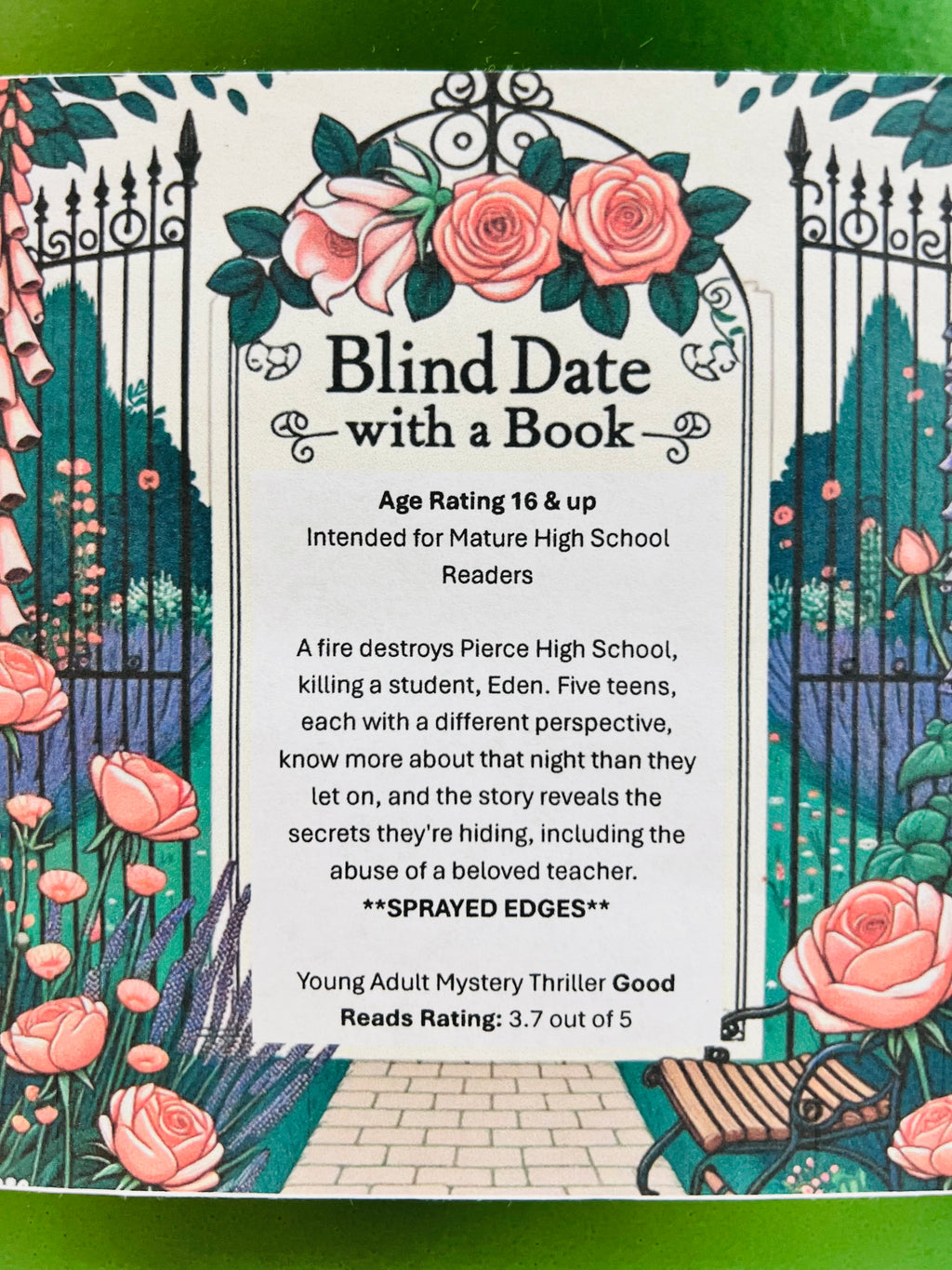 Young Adult Mystery Thriller - New/Like New Blind Date with a Book 150 (MATURE HIGH SCHOOL)