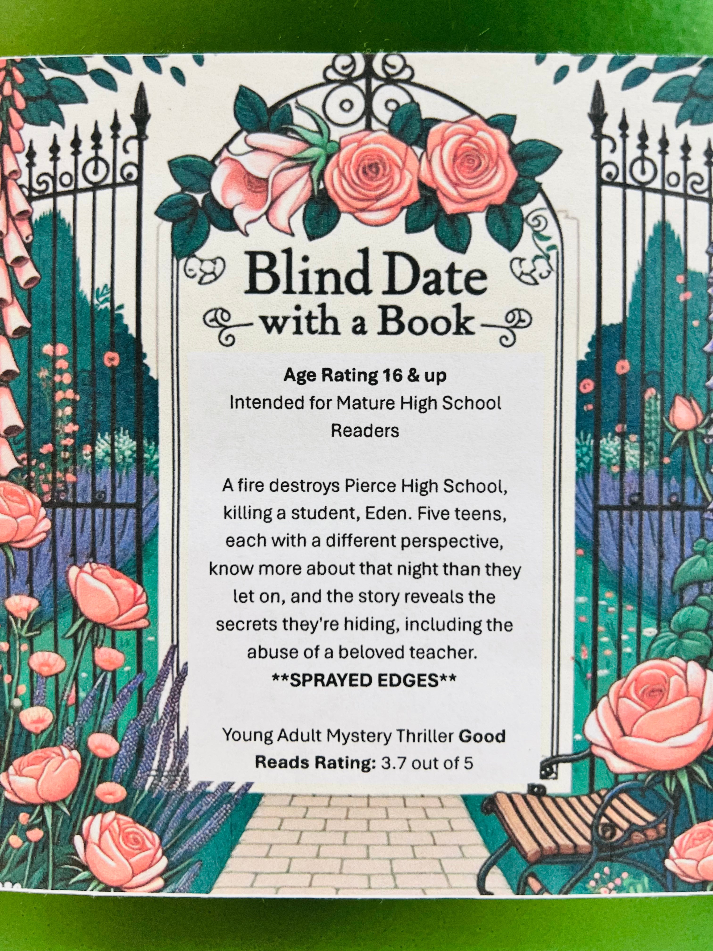 Young Adult Mystery Thriller - New/Like New Blind Date with a Book 150 (MATURE HIGH SCHOOL)