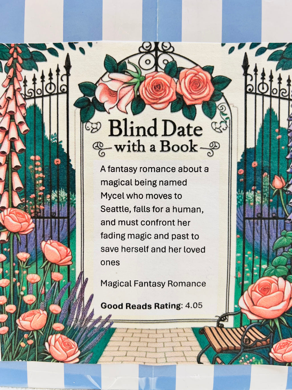 Magical Fantasy Romance - New/Like New Blind Date with a Book 33
