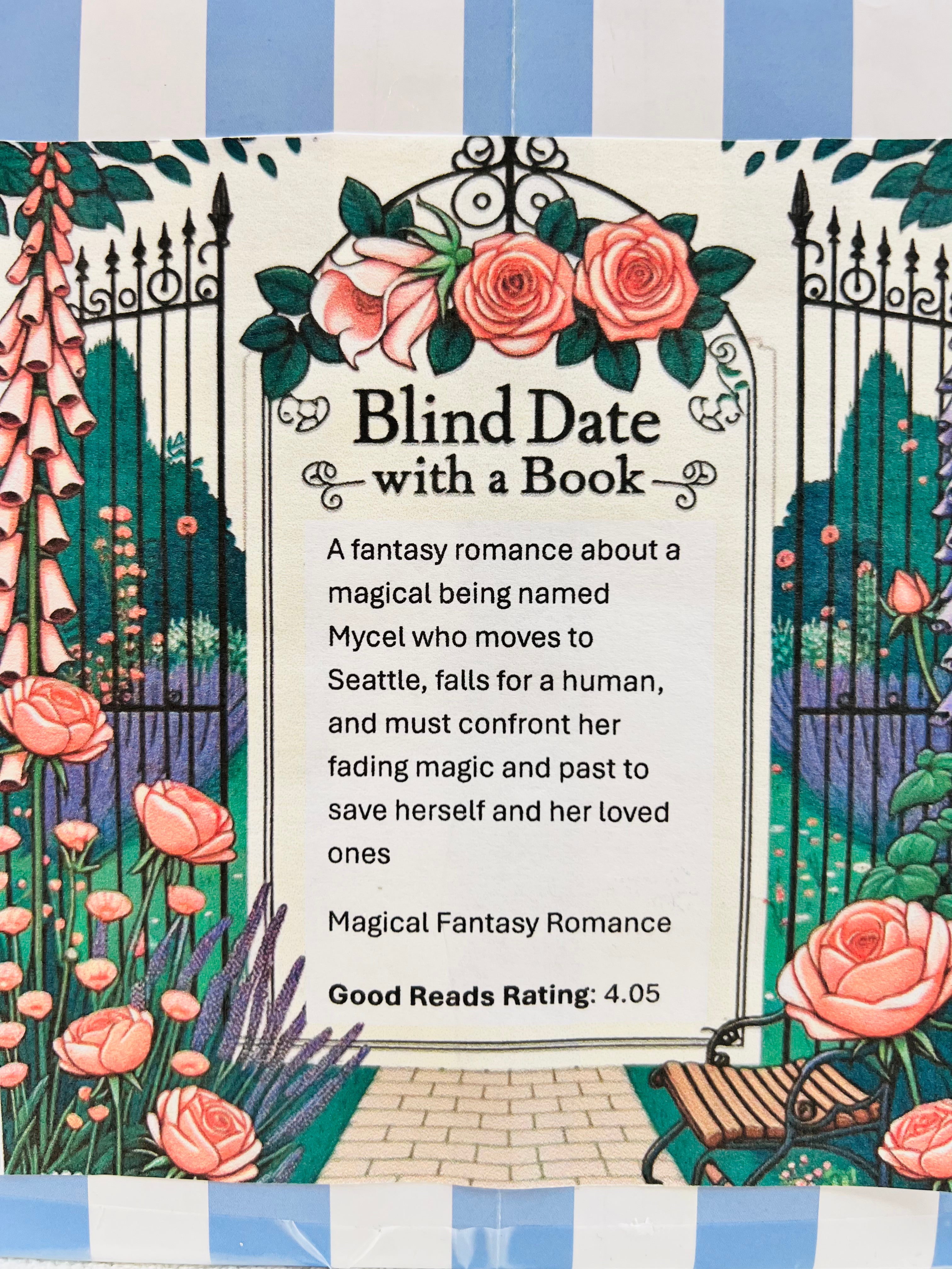 Magical Fantasy Romance - New/Like New Blind Date with a Book 33