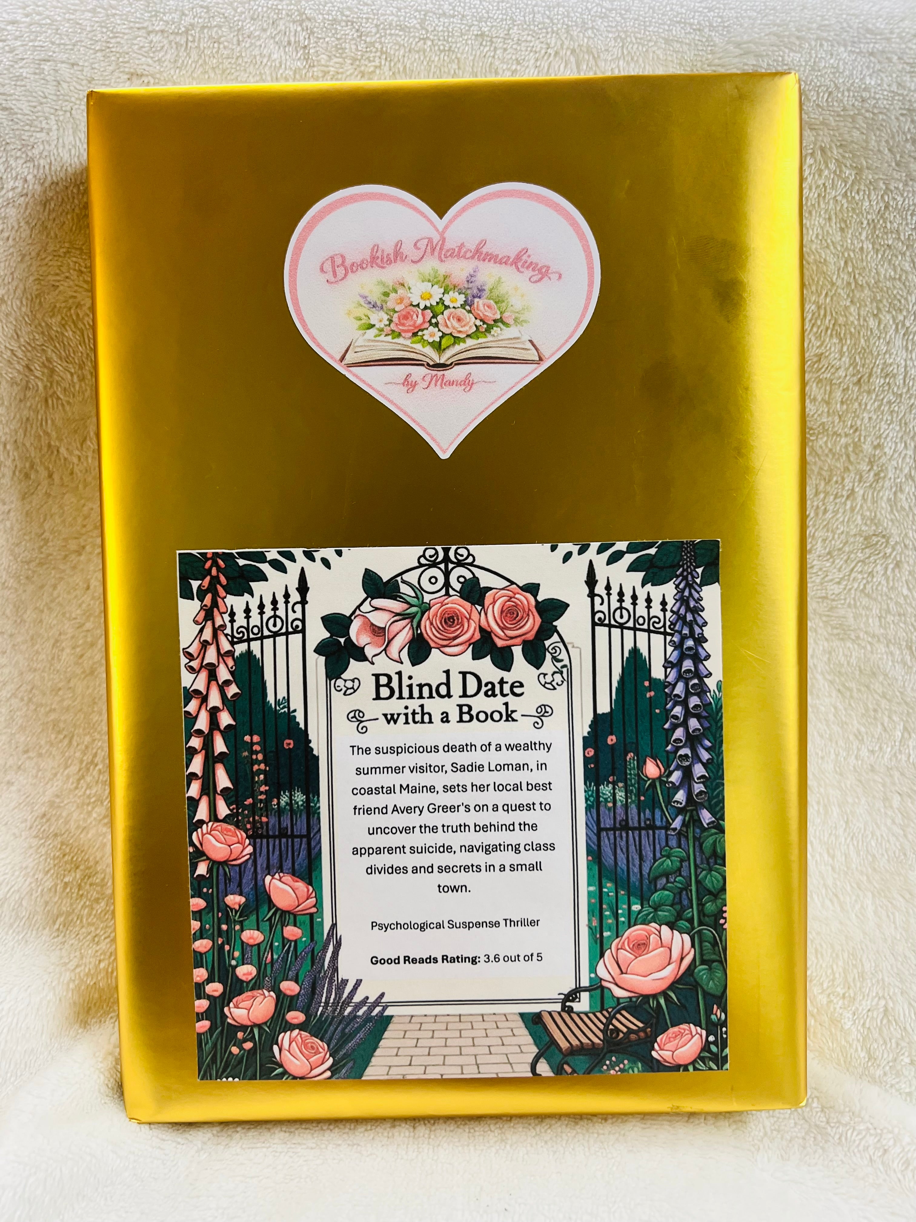 Psychological Suspense Thriller - New/Like New Blind Date with a Book 197