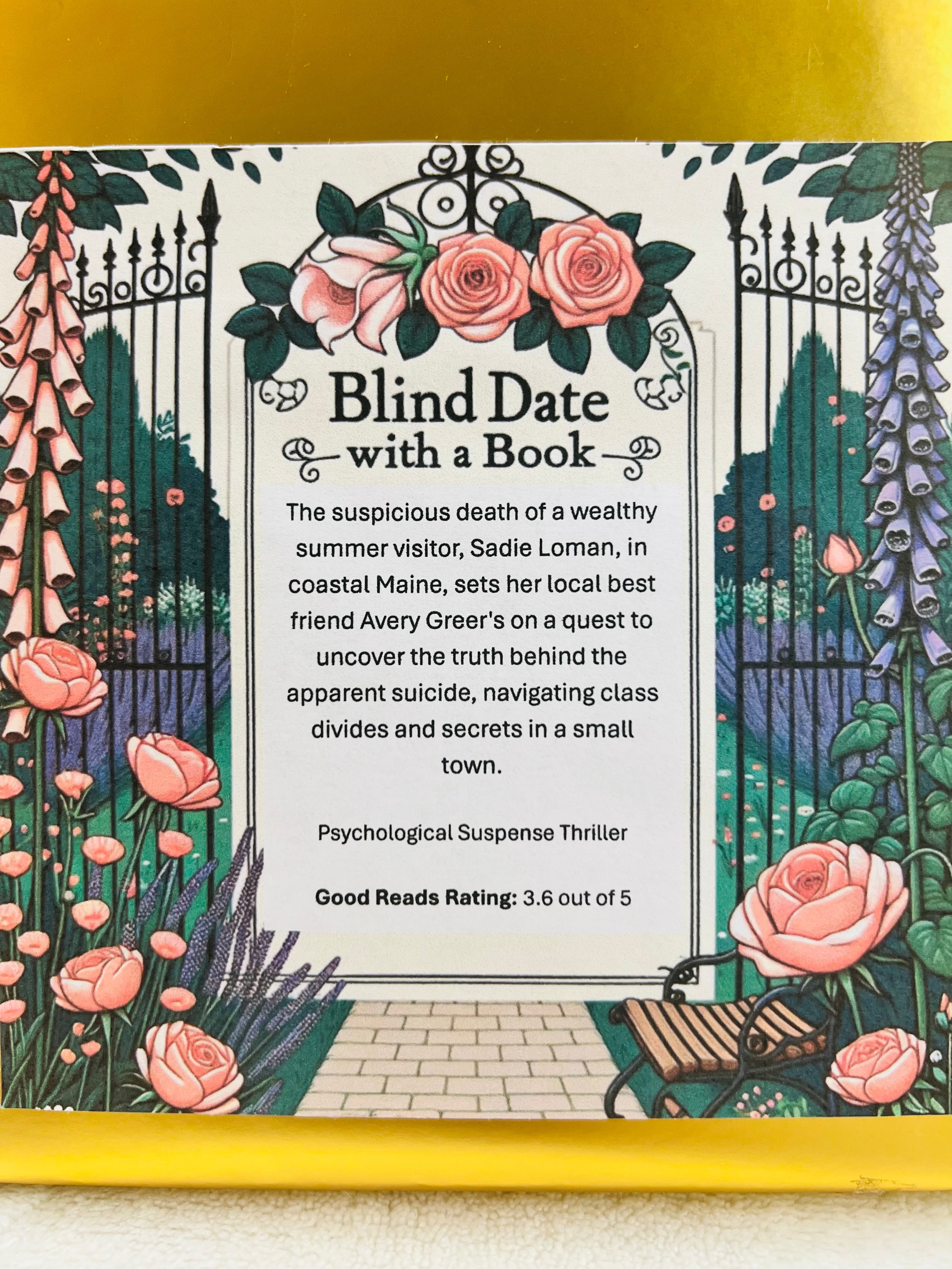 Psychological Suspense Thriller - New/Like New Blind Date with a Book 197