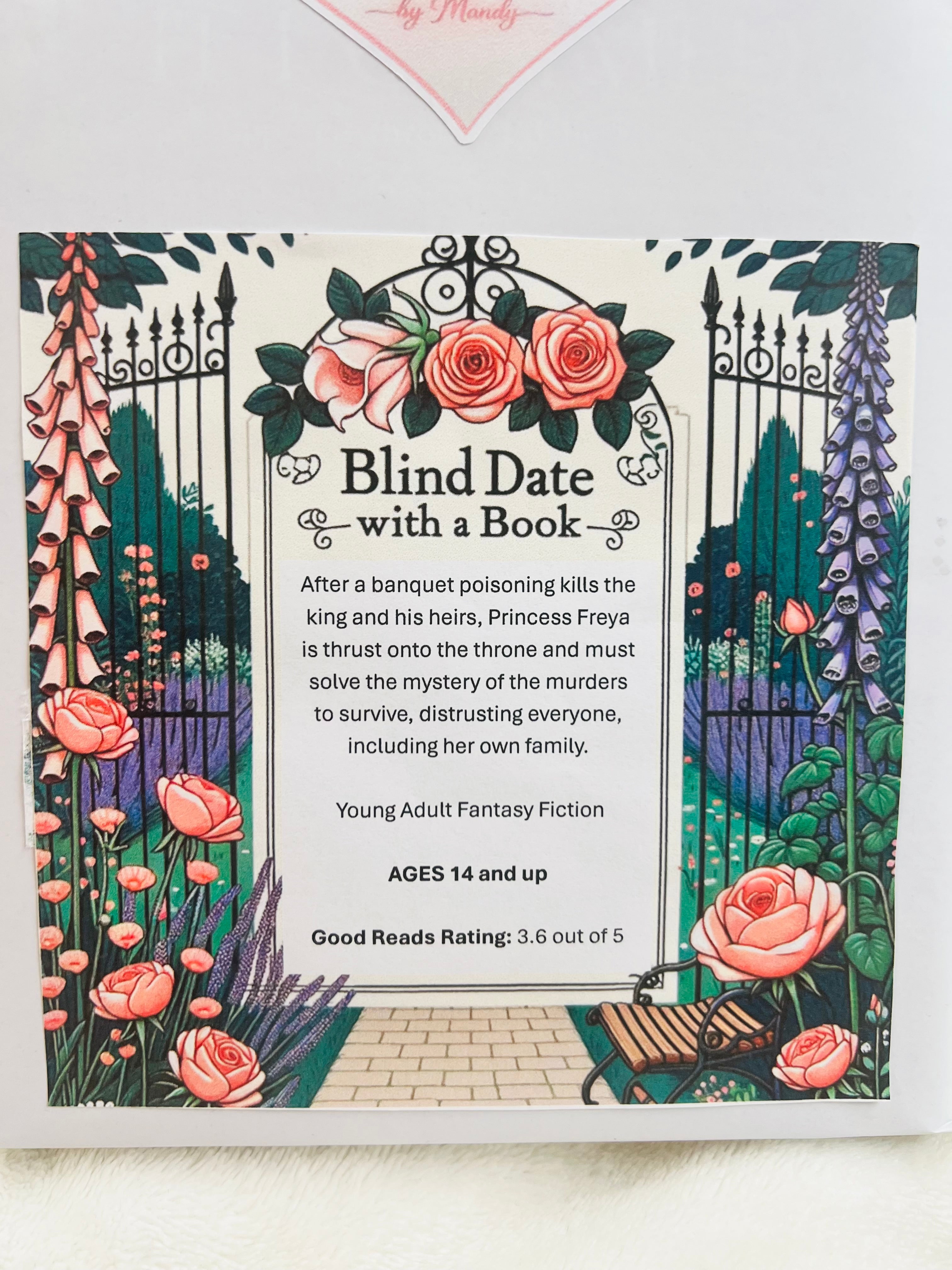 Young Adult Fantasy Fiction - New/Like New Blind Date with a Book 143