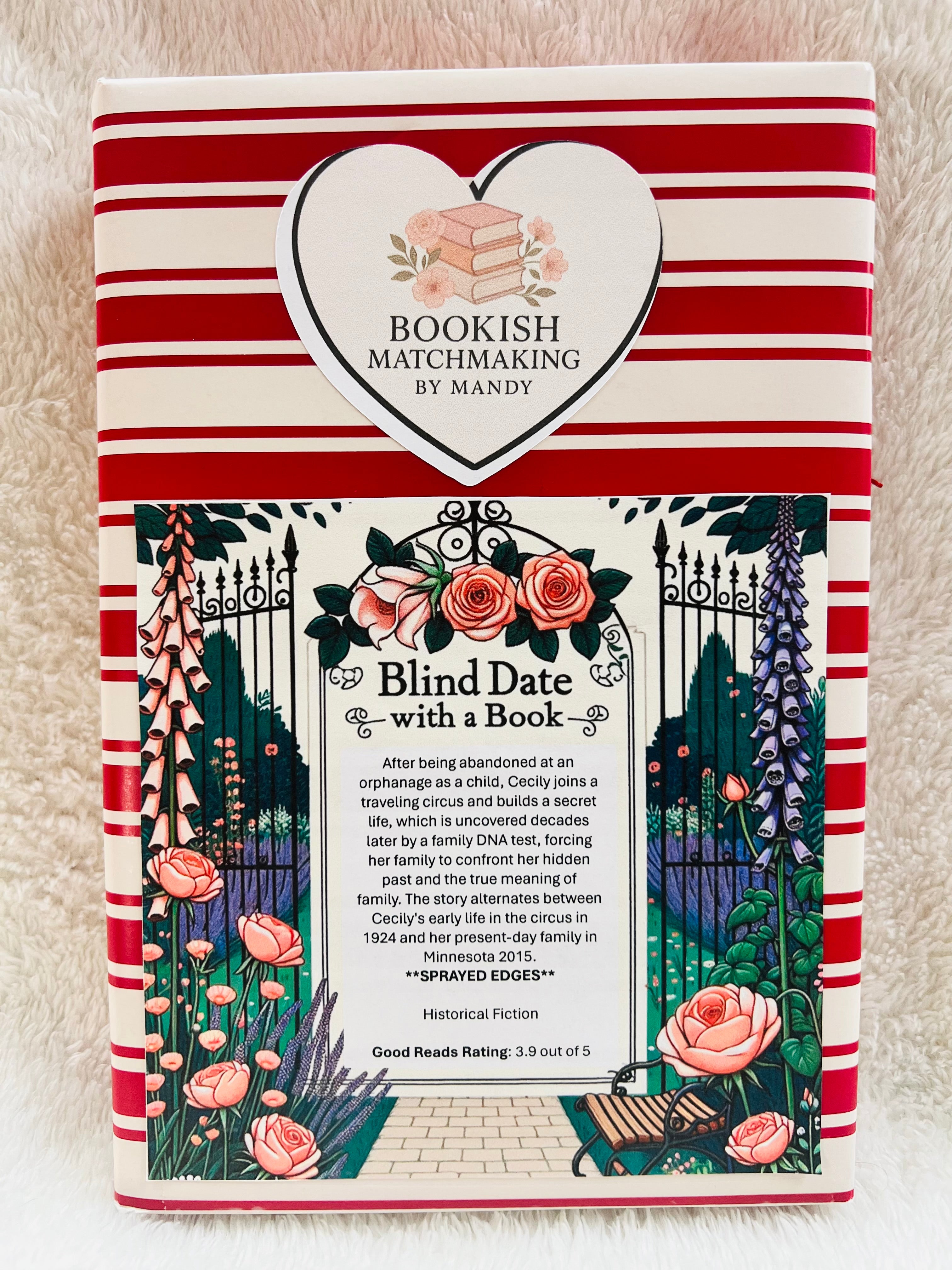 Historical Fiction - Sprayed Edge Blind Date with a Book 81