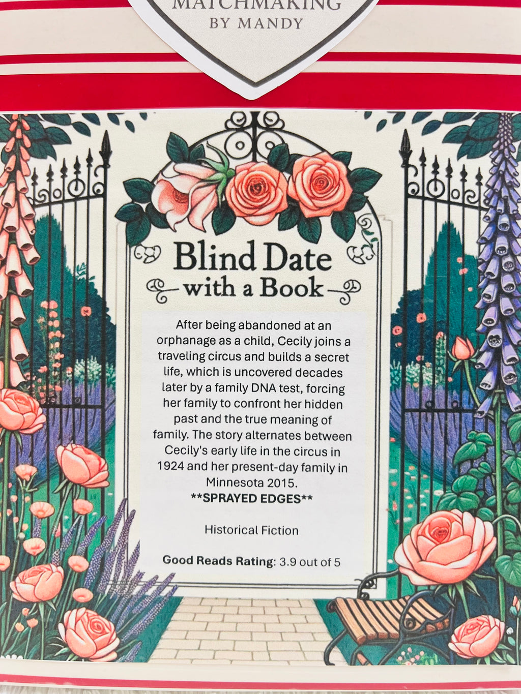 Historical Fiction - Sprayed Edge Blind Date with a Book 81