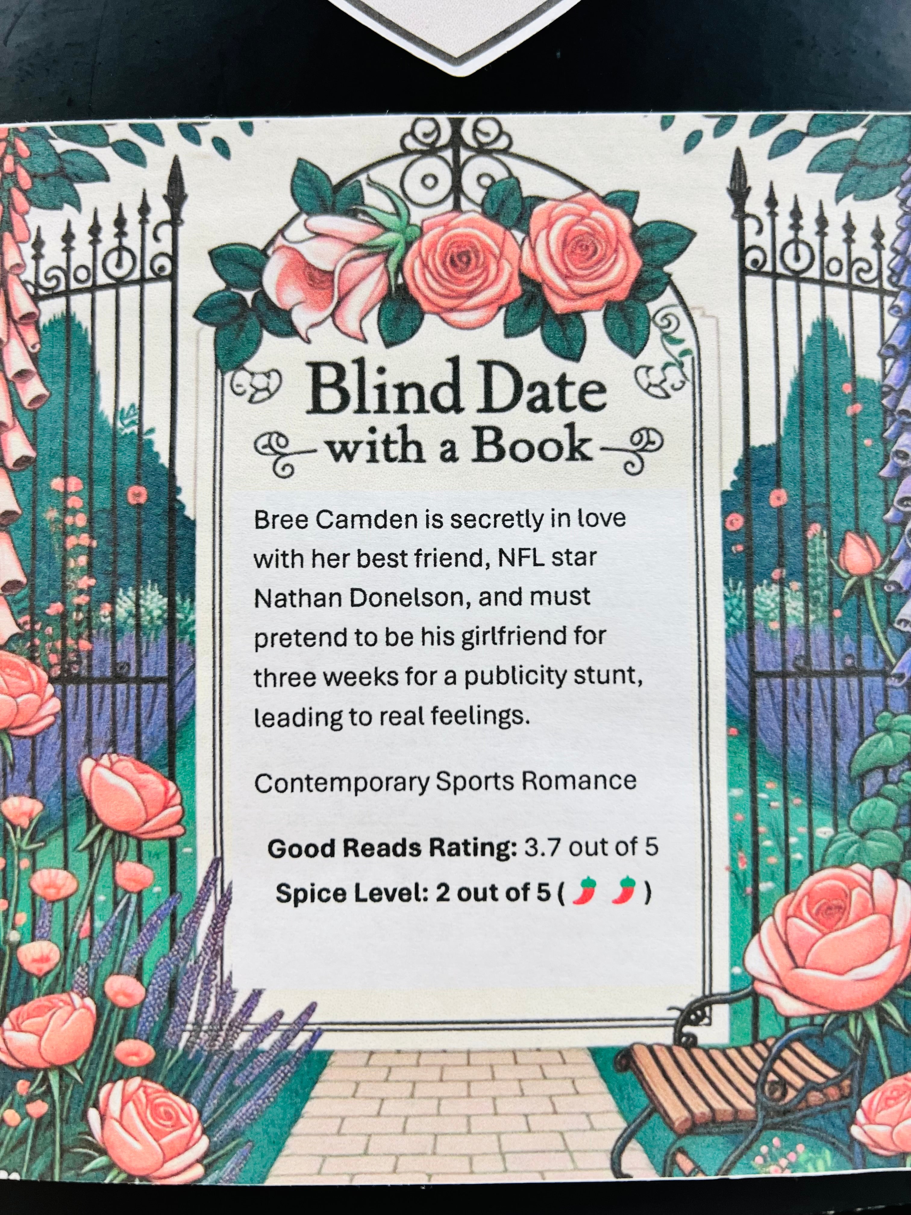 Contemporary Sports Romance - New/Like New Blind Date with a Book 129