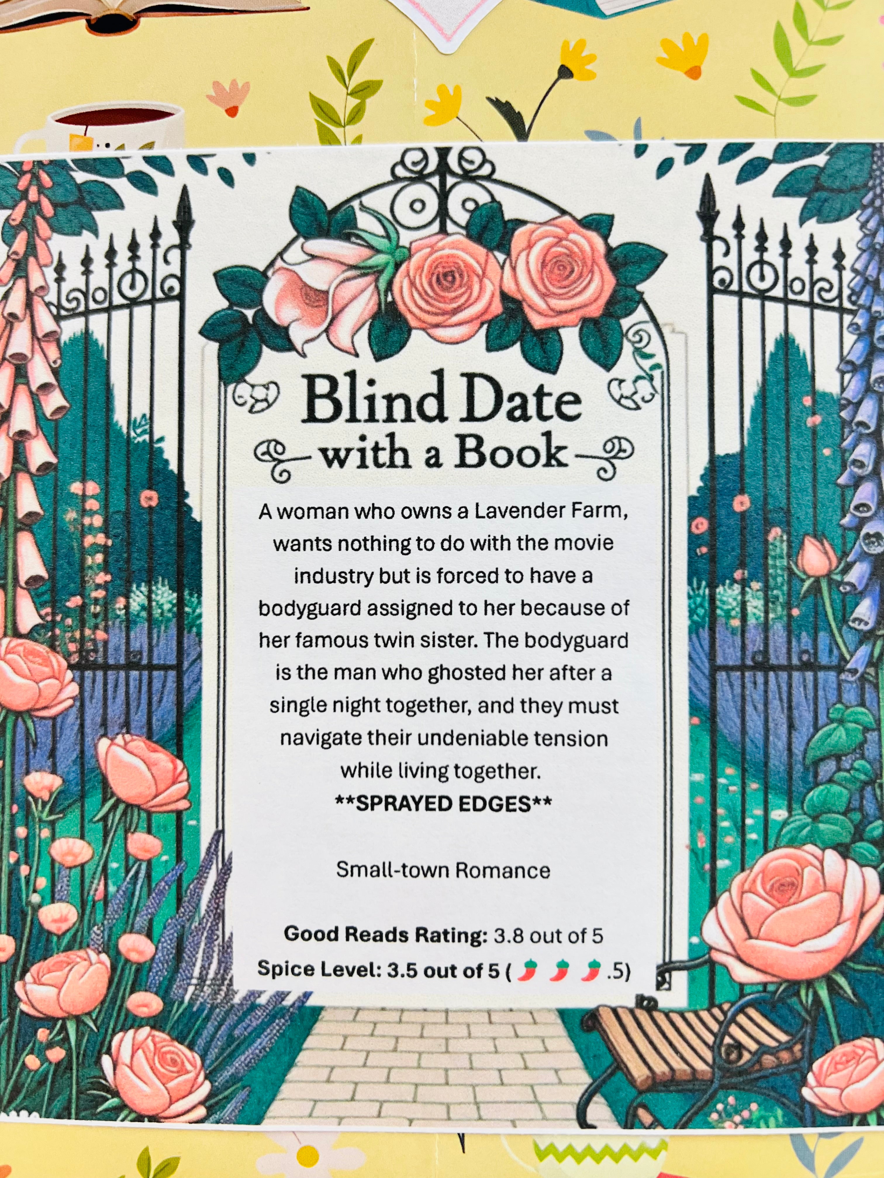 Small-town Romance - Sprayed Edge Blind Date with a Book 223