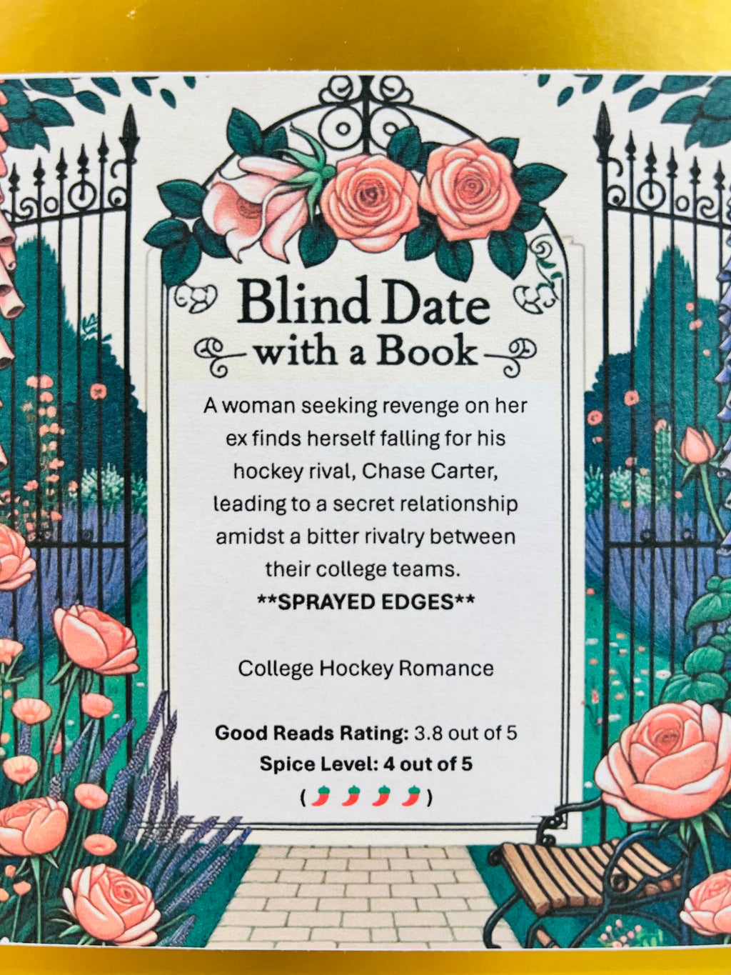 College Hockey Romance - Sprayed Edge Blind Date with a Book 221