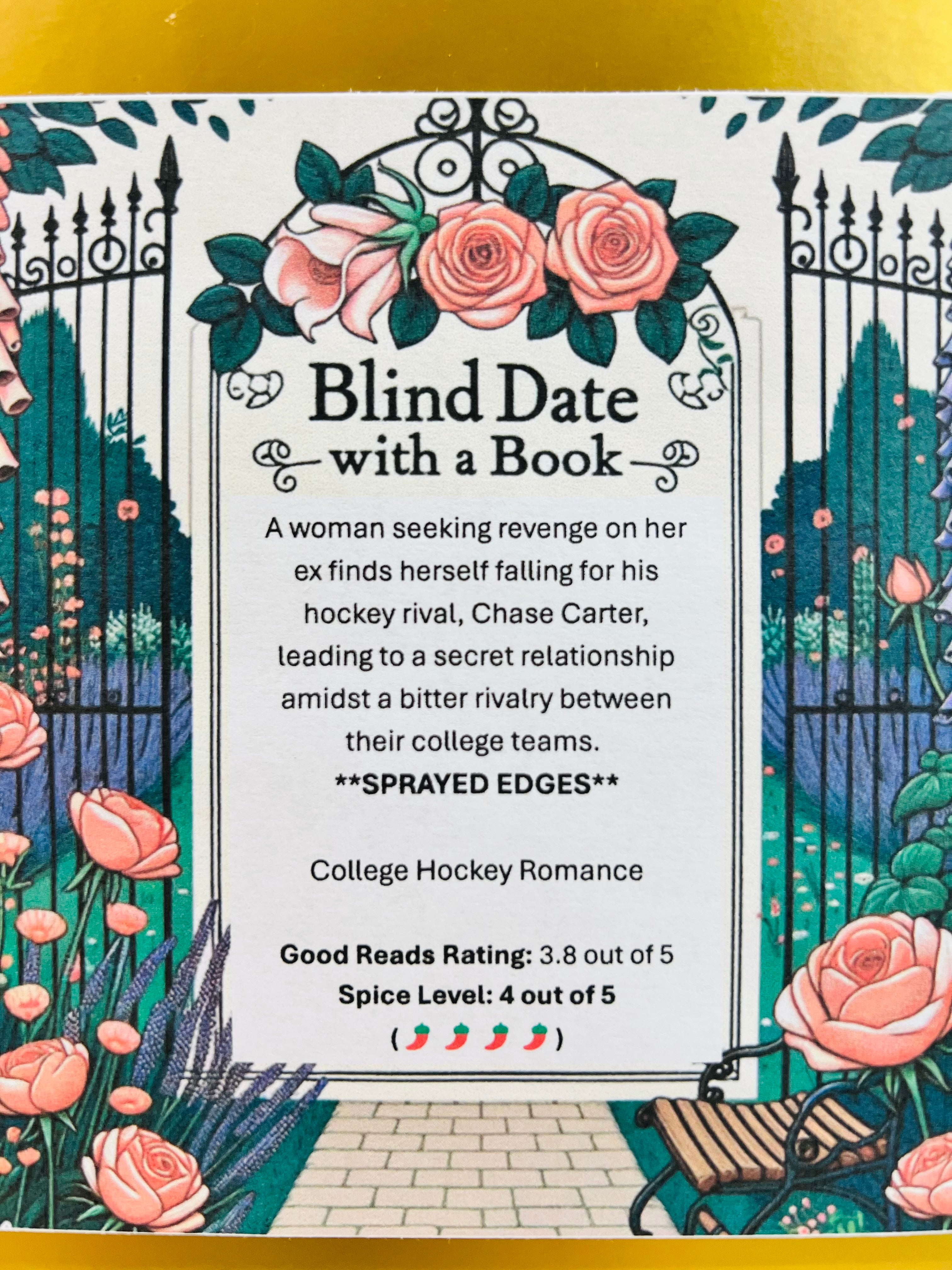College Hockey Romance - Sprayed Edge Blind Date with a Book 221