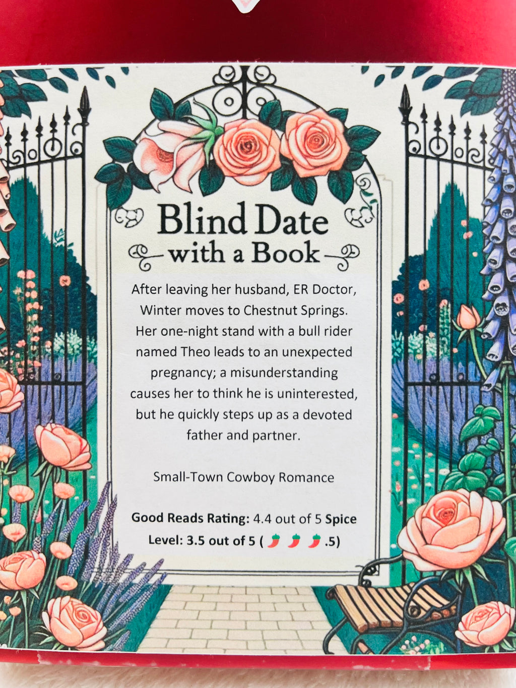 Small-Town Cowboy Romance - New/Like New Blind Date with a Book 233