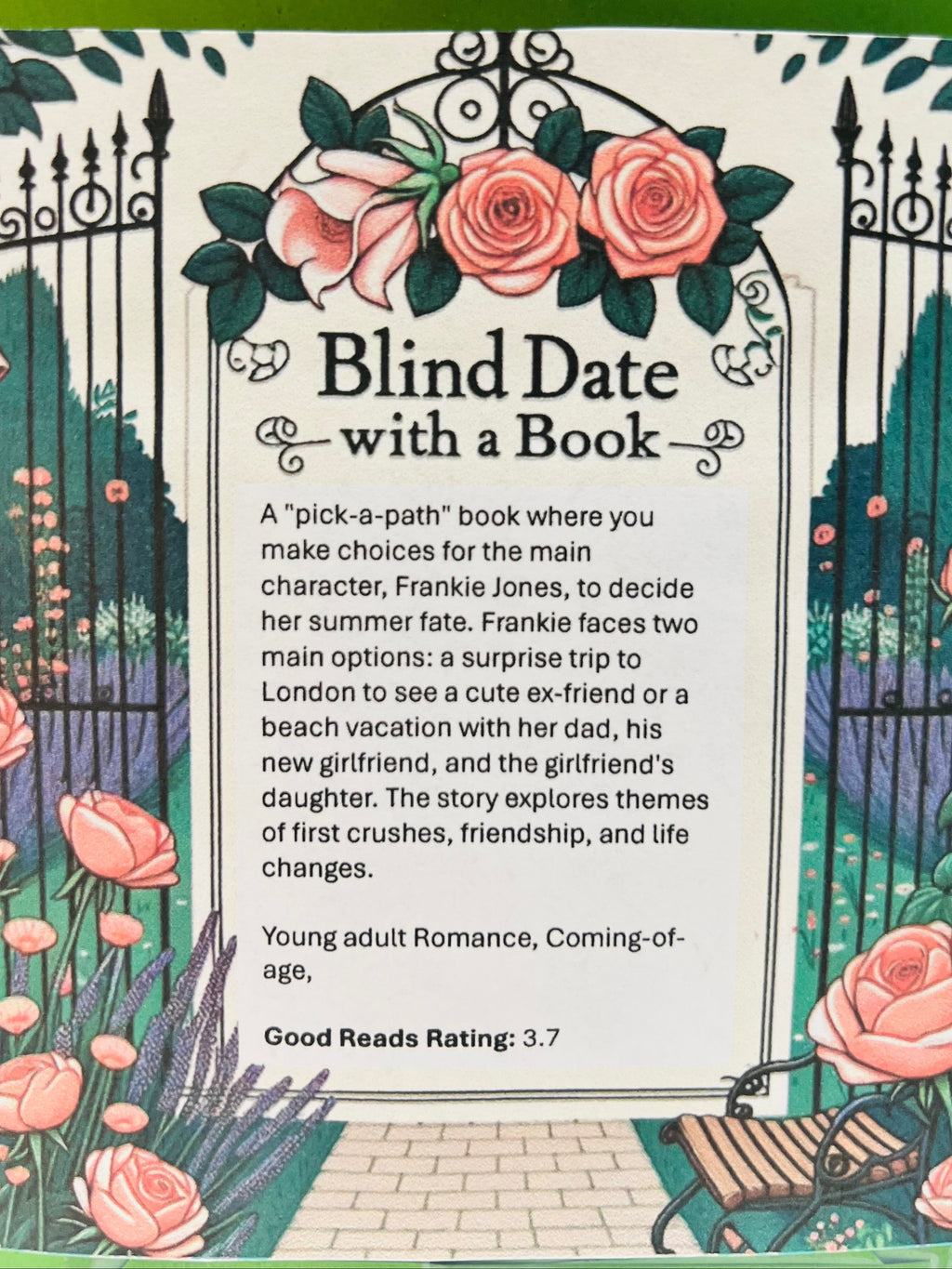 Young adult Romance, Coming-of-age - Gently Loved Blind Date with a Book 62