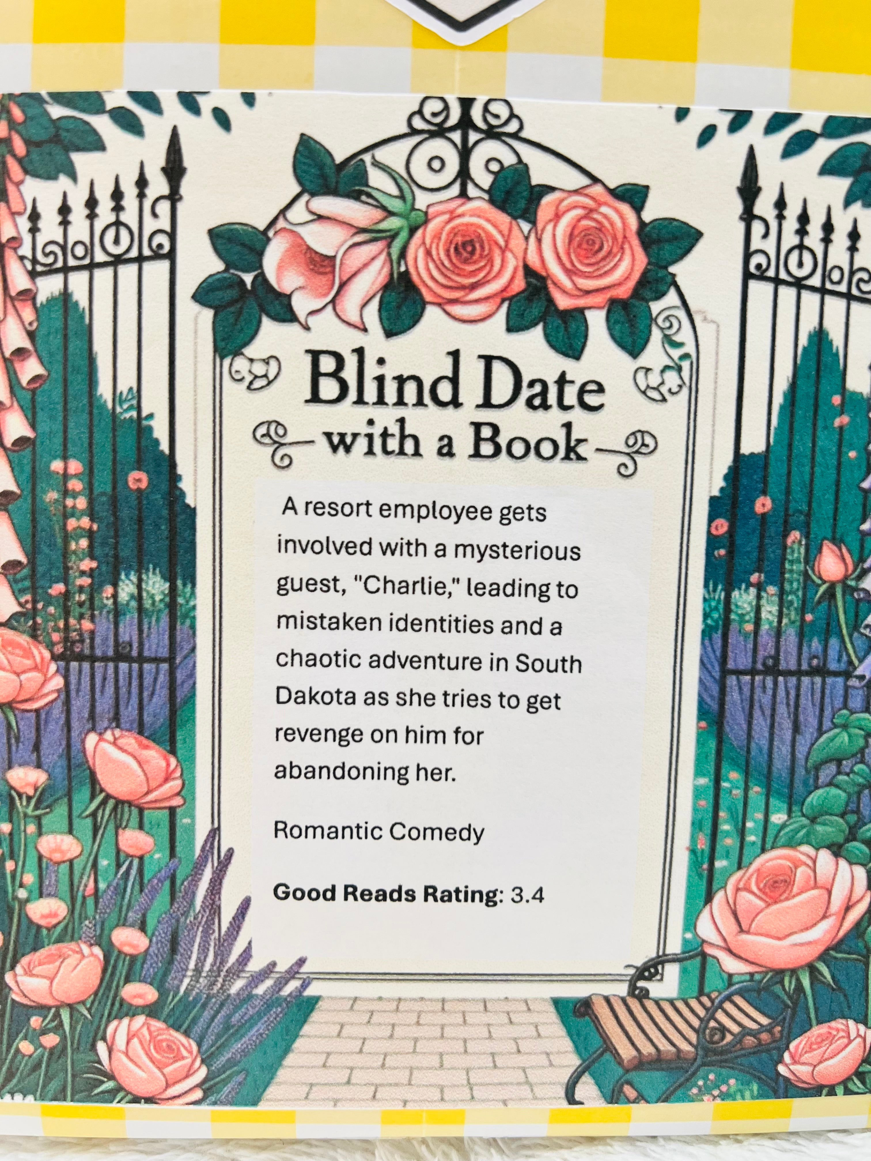 Romantic Comedy - New/Like New Blind Date with a Book 41