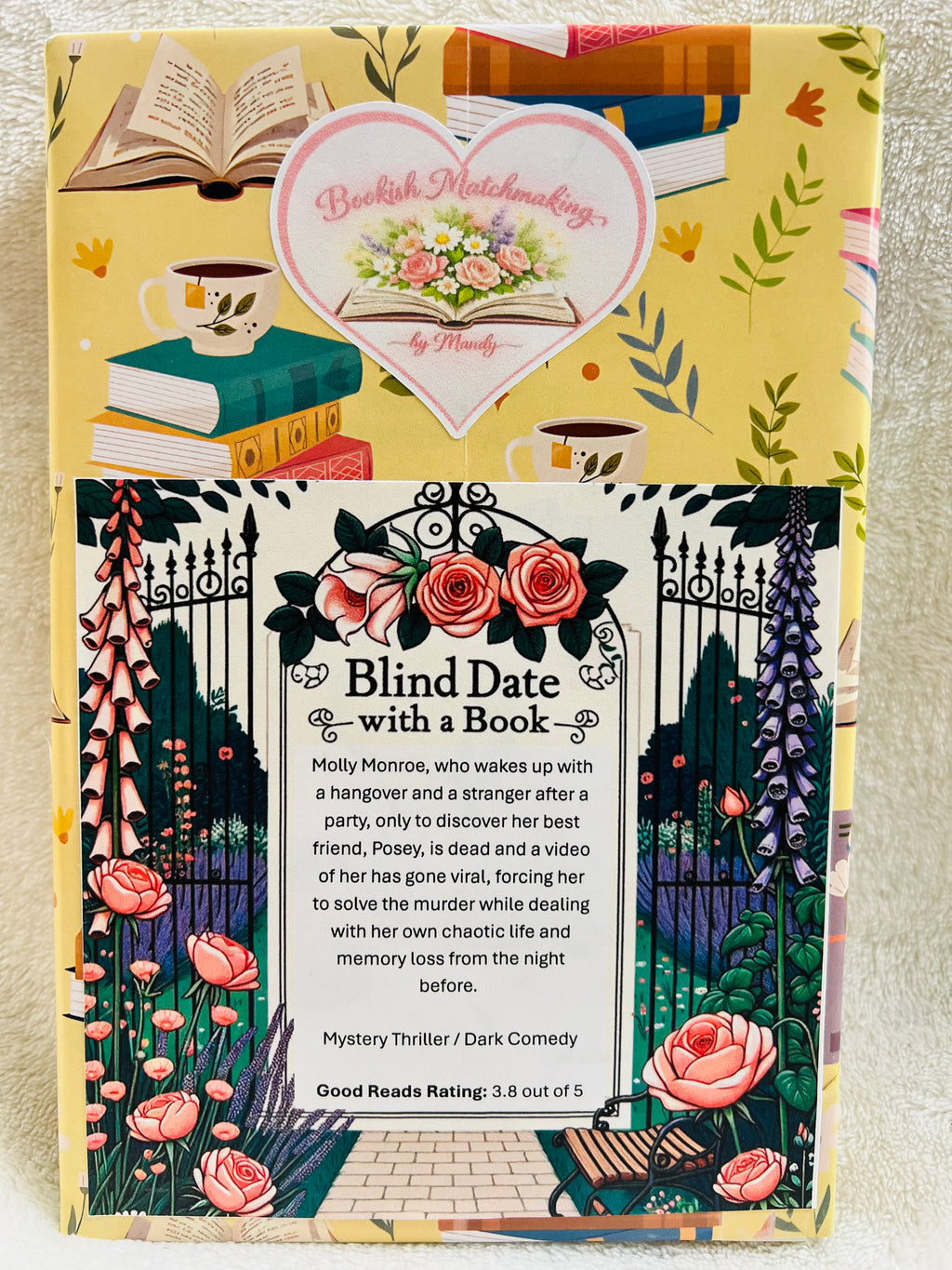 Mystery Thriller / Dark Comedy - New/Like New Blind Date with a Book 242