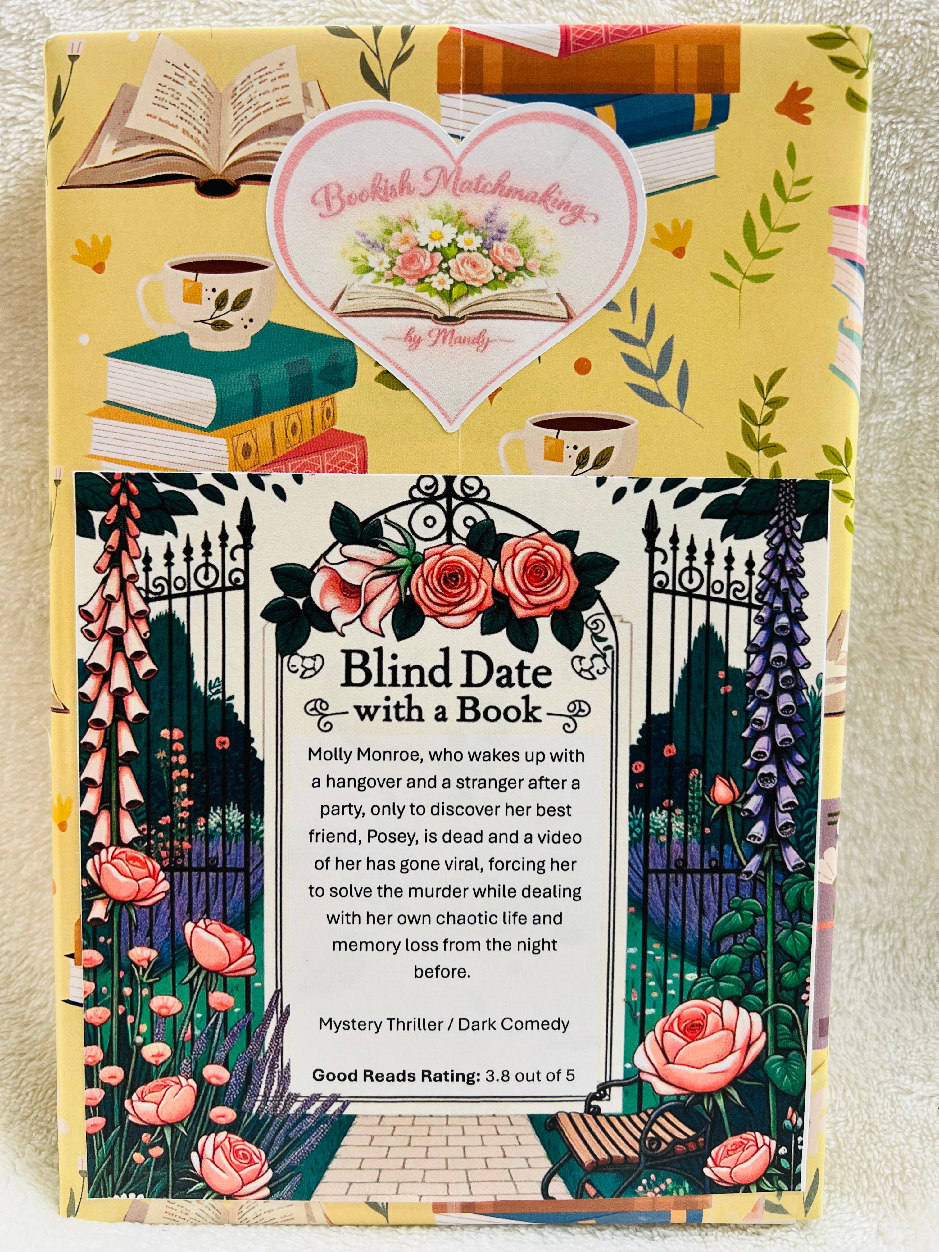 Mystery Thriller / Dark Comedy - New/Like New Blind Date with a Book 242