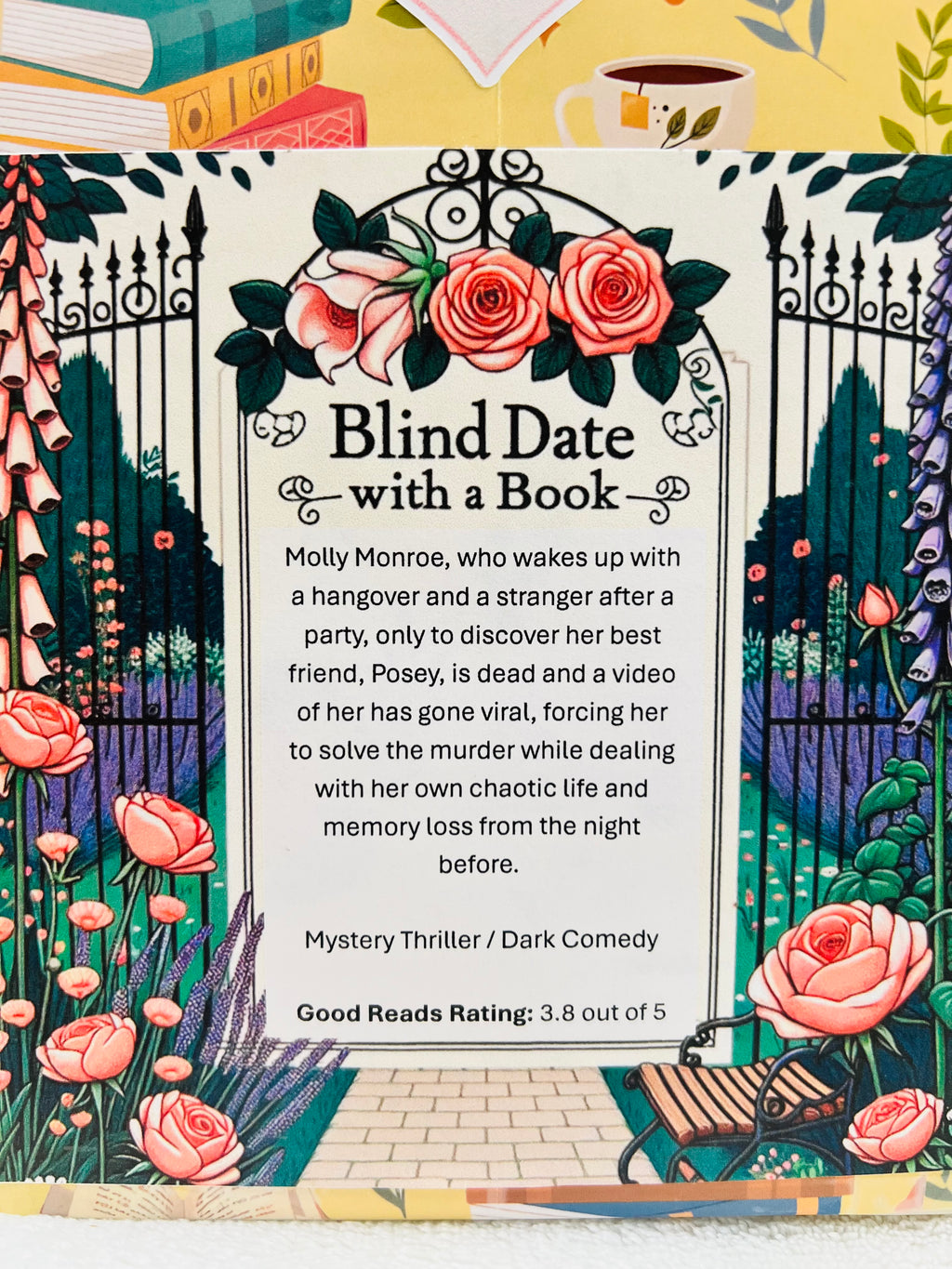 Mystery Thriller / Dark Comedy - New/Like New Blind Date with a Book 242