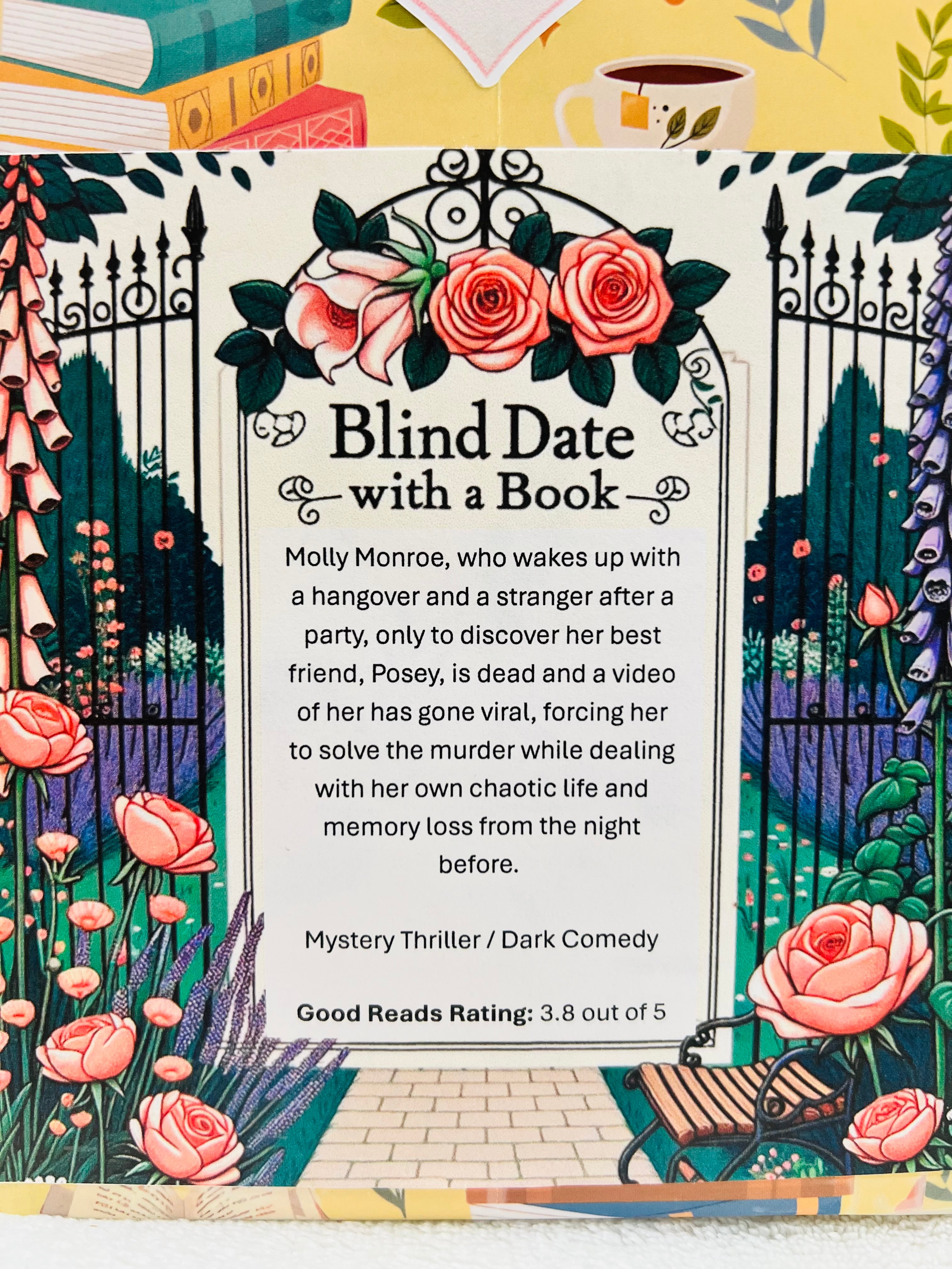 Mystery Thriller / Dark Comedy - New/Like New Blind Date with a Book 242