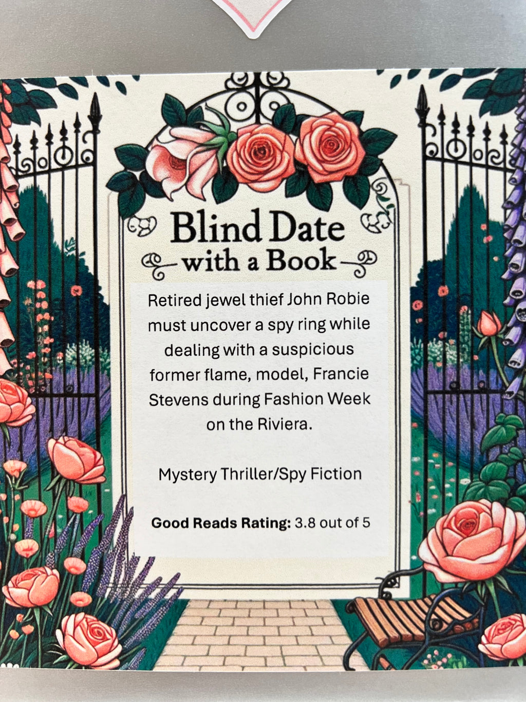 Mystery Thriller/Spy Fiction - New/Like New Blind Date with a Book 250
