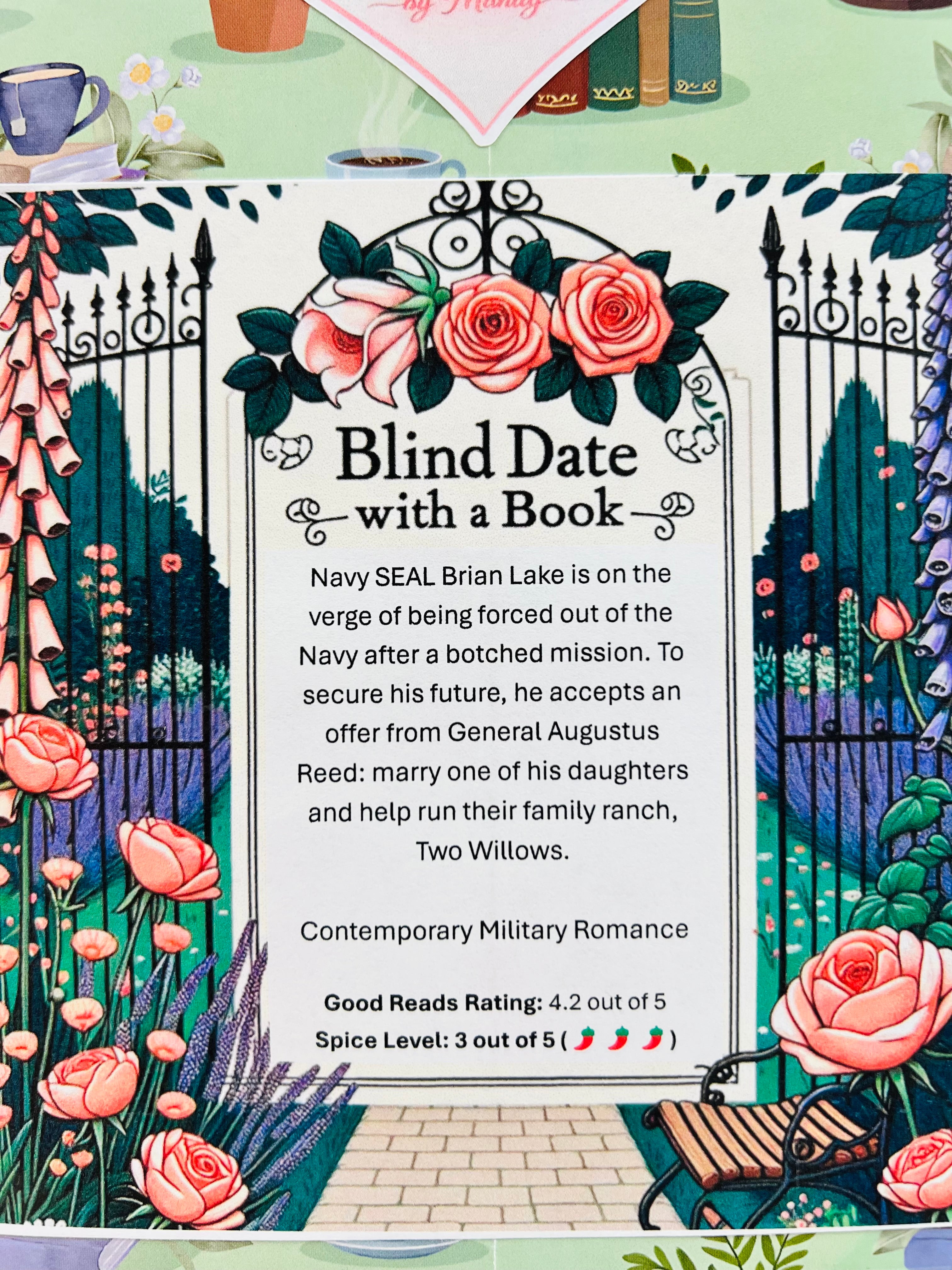 Contemporary Military Romance - New/Like New Blind Date with a Book 251