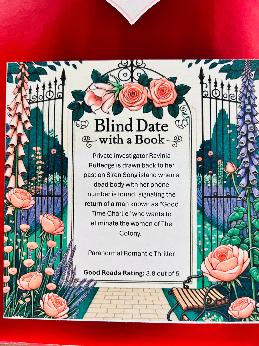 Paranormal Romantic Thriller - New/Like New Blind Date with a Book 276