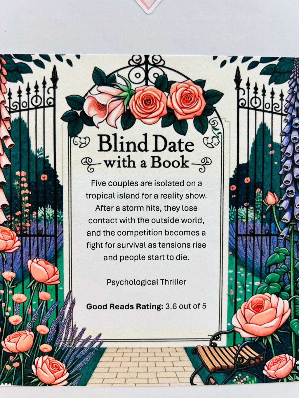 Psychological Thriller - New/Like New Blind Date with a Book 291