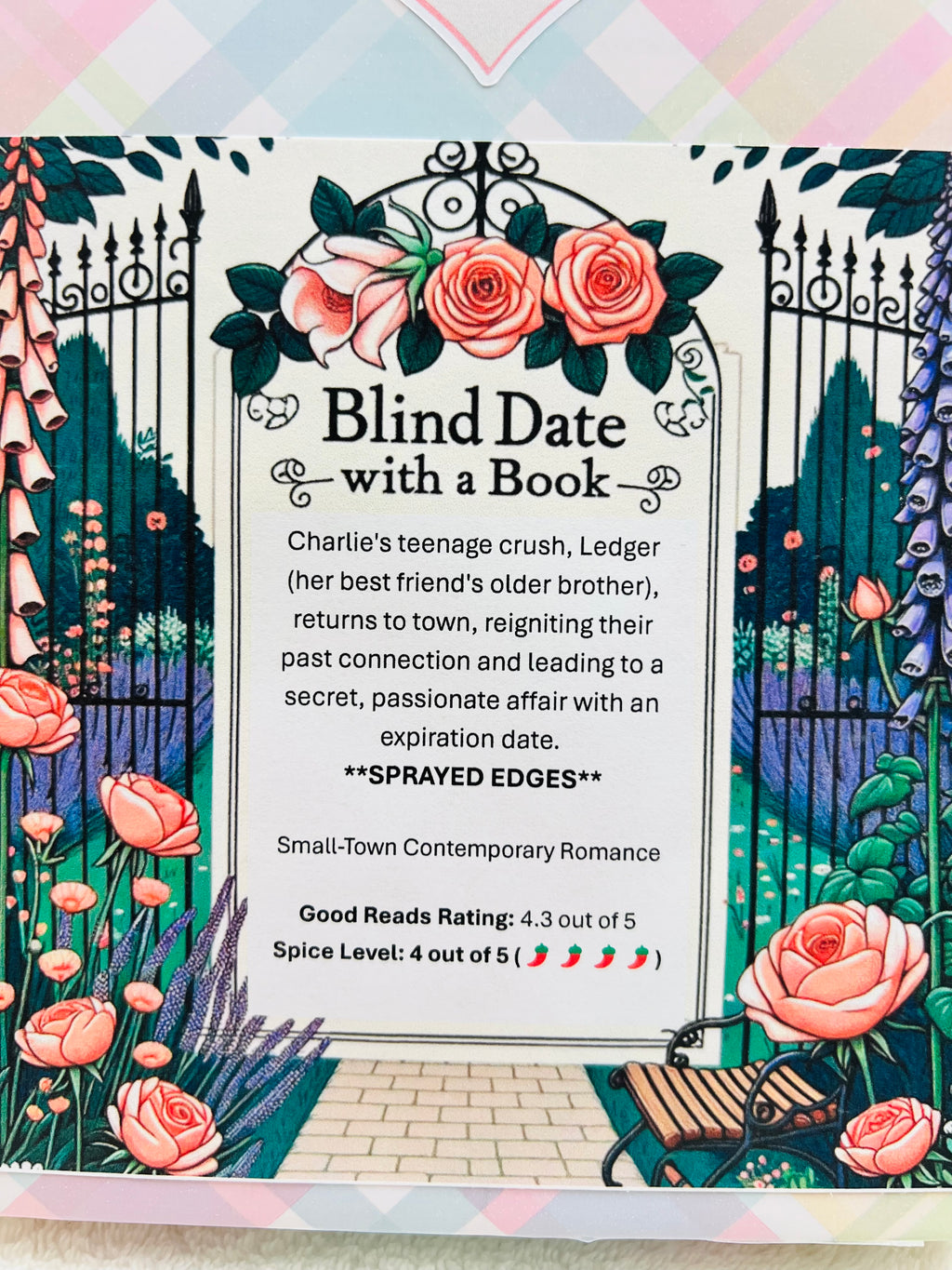 Small-Town Contemporary Romance - Sprayed Edges Blind Date with a Book 286