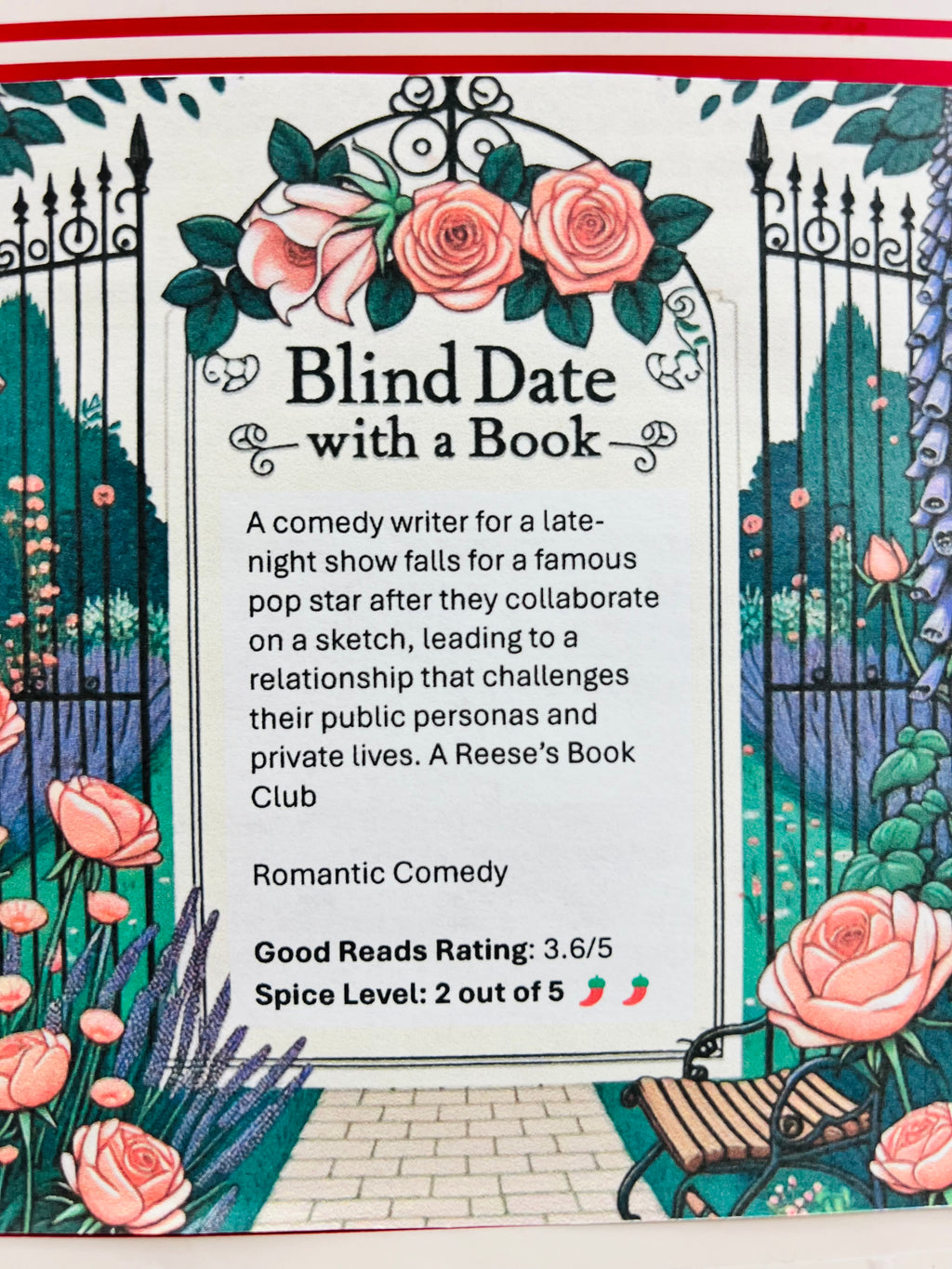 Romantic Comedy - New/Like New Blind Date with a Book 73