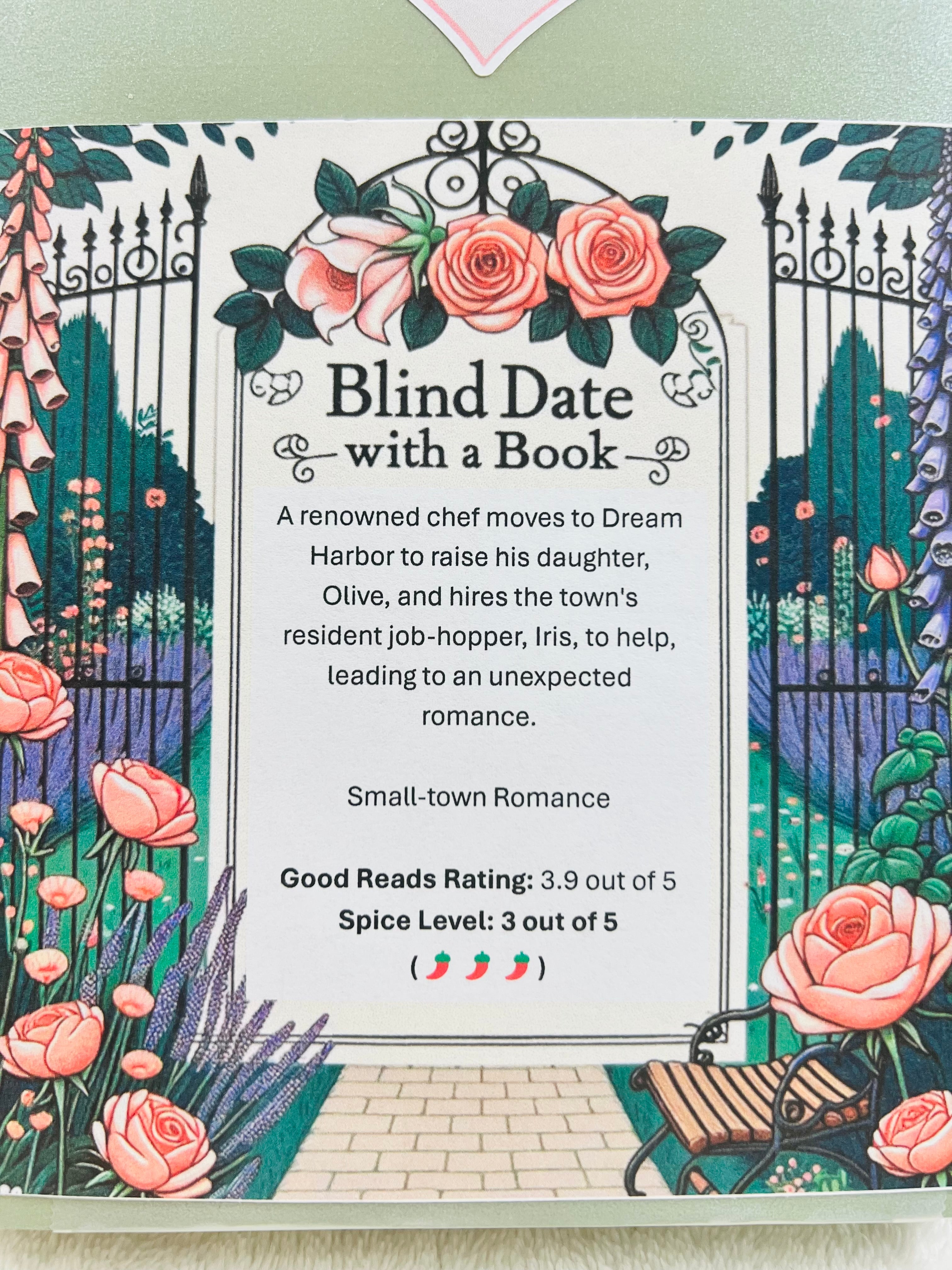 Small-town Romance - New/Like New Blind Date with a Book 296