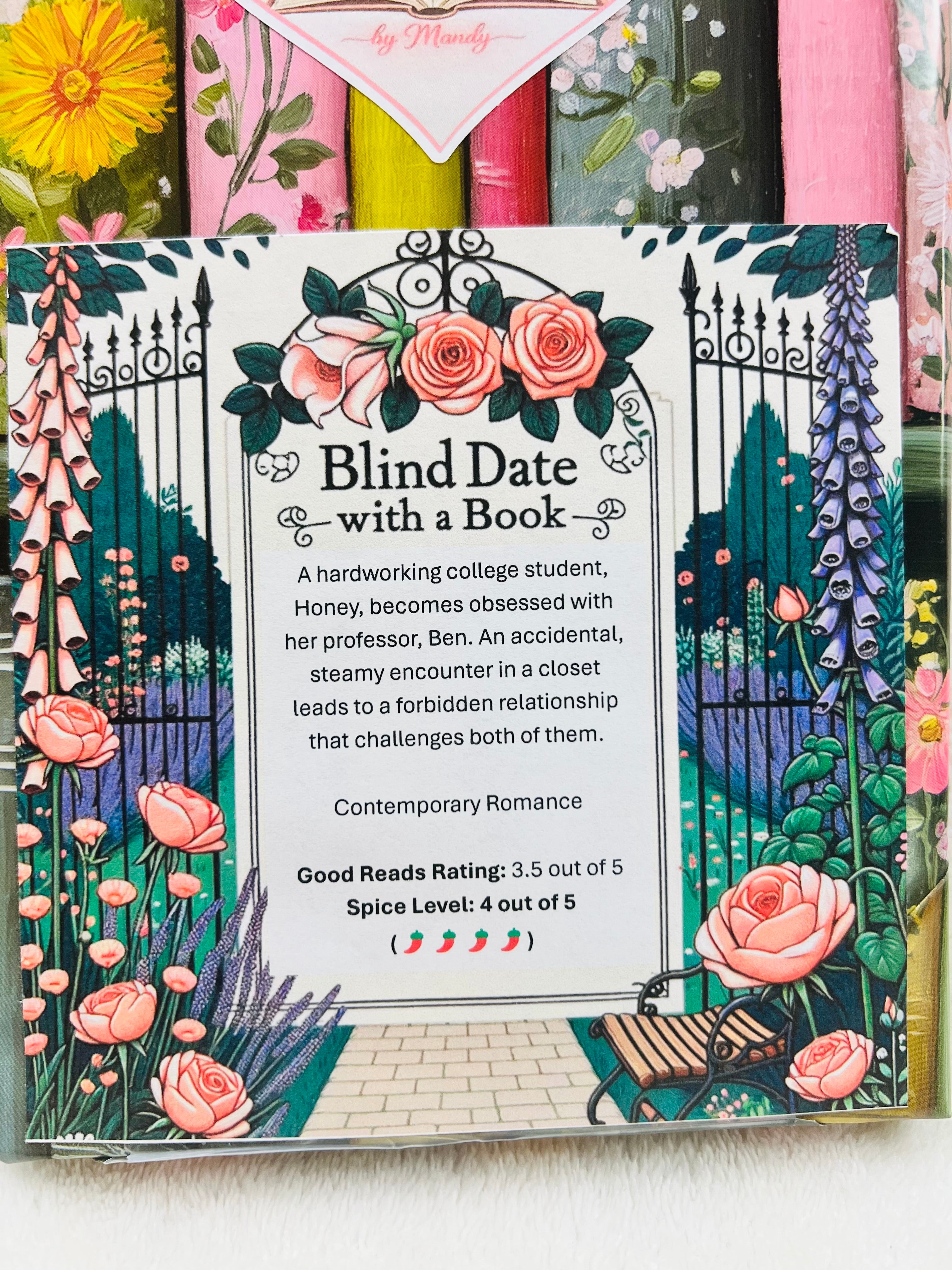 Contemporary Romance - Gently Loved Blind Date with a Book 295