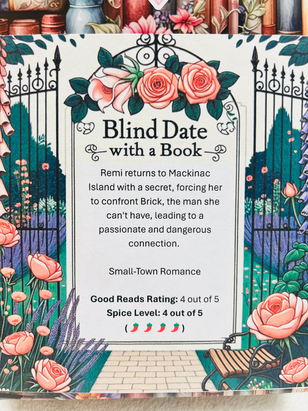 Small-Town Romance - New/Like New Blind Date with a Book 294