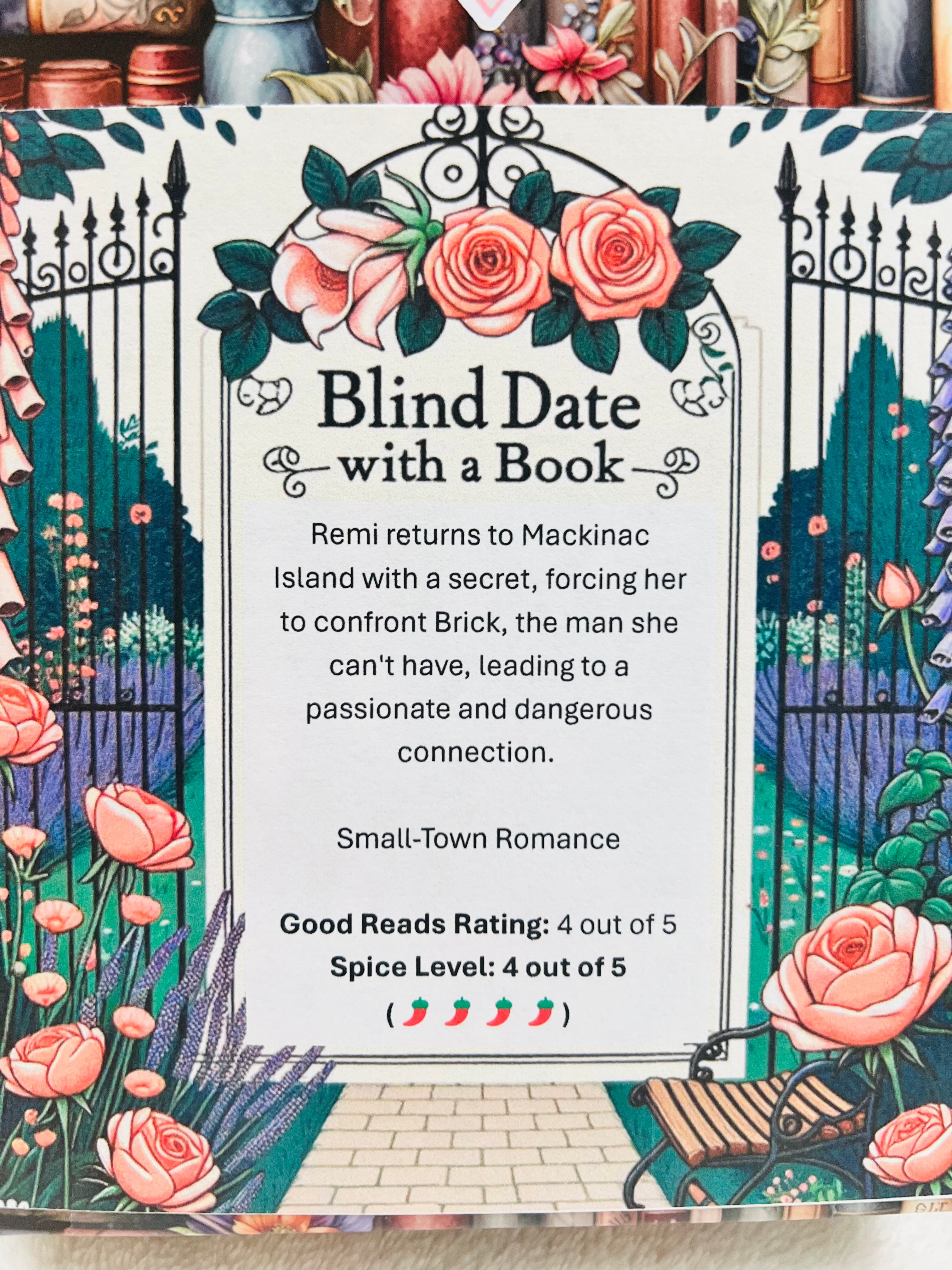 Small-Town Romance - New/Like New Blind Date with a Book 294