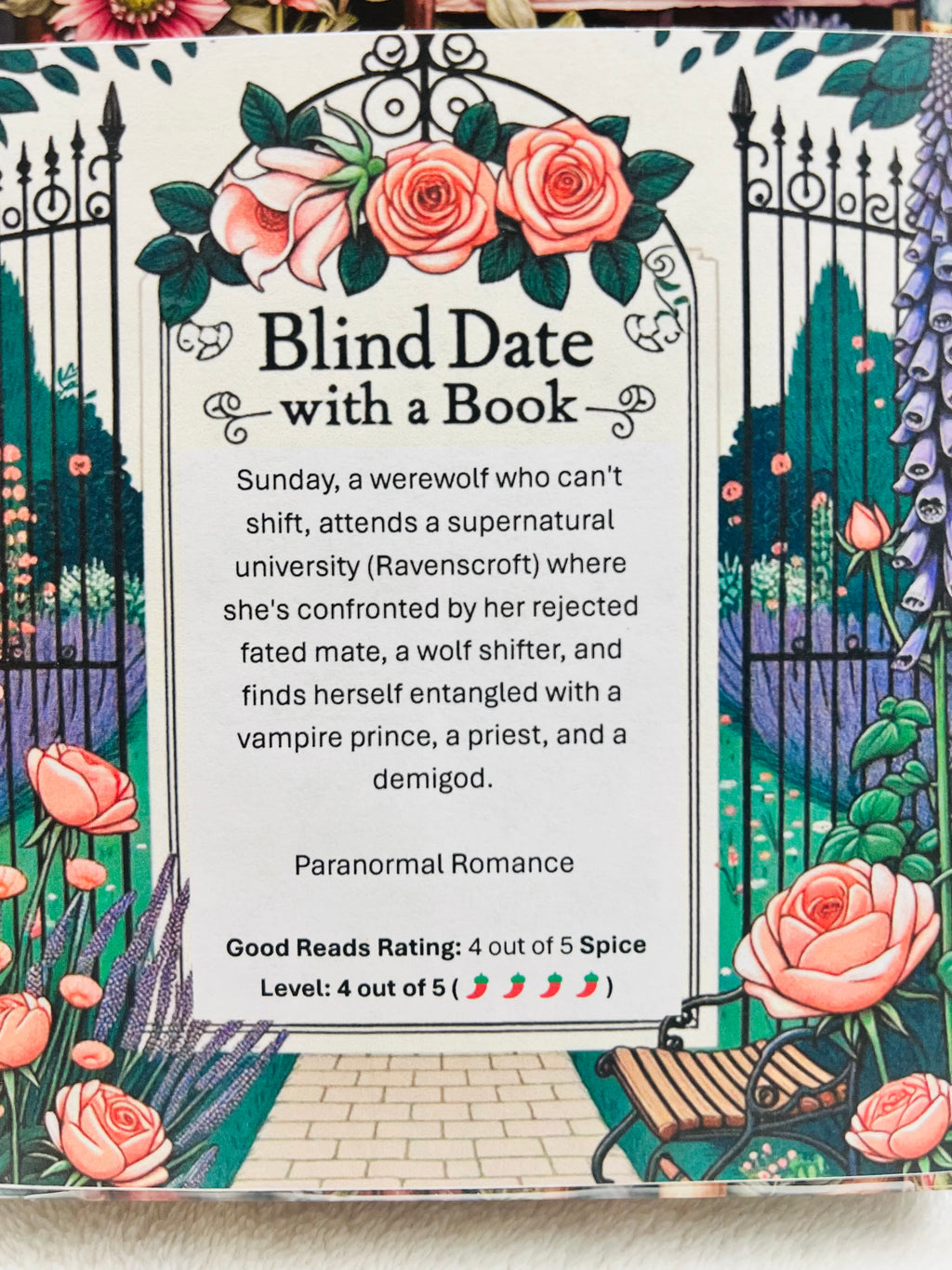 Paranormal Romance - New/Like New Blind Date with a Book 309