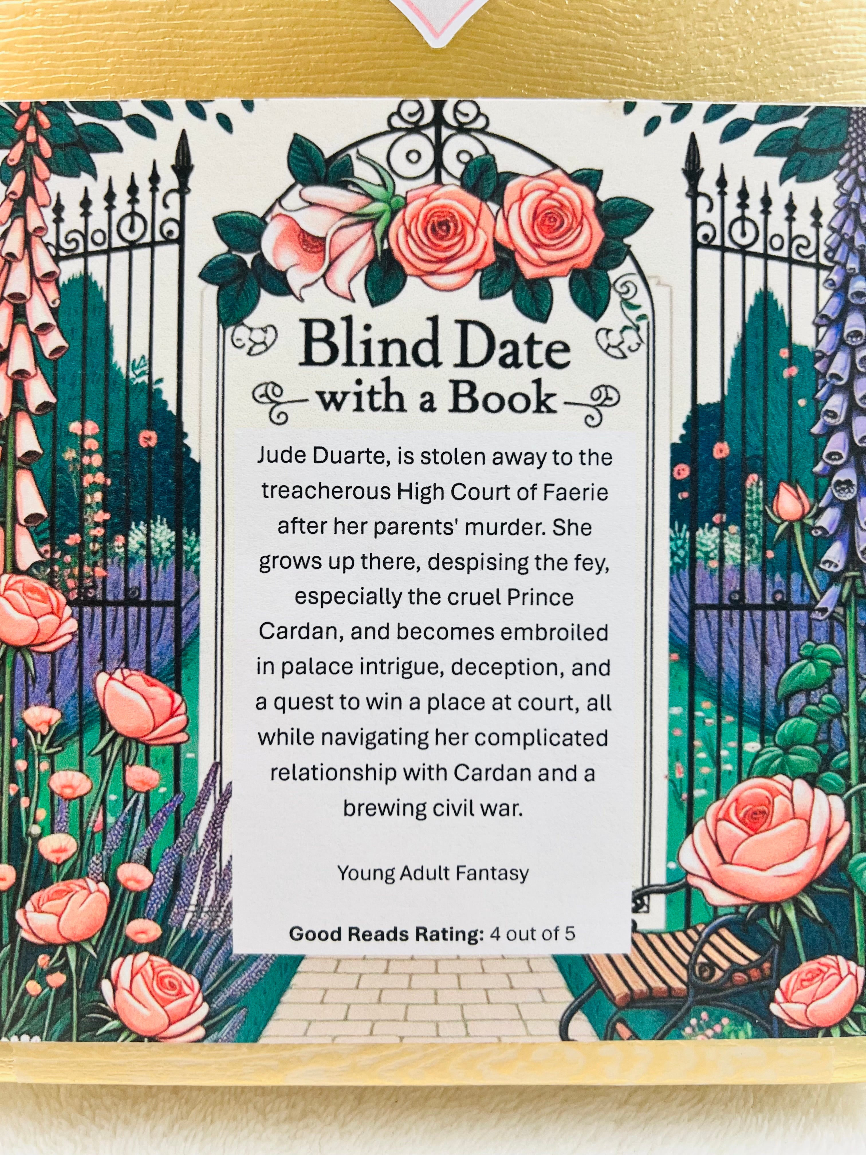 Young Adult Fantasy - New/Like New Blind Date with a Book 310
