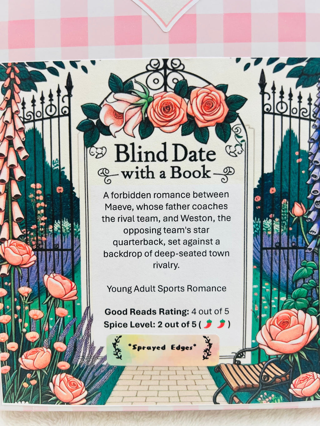 Young Adult Sports Romance - Sprayed Edges Blind Date with a Book 297