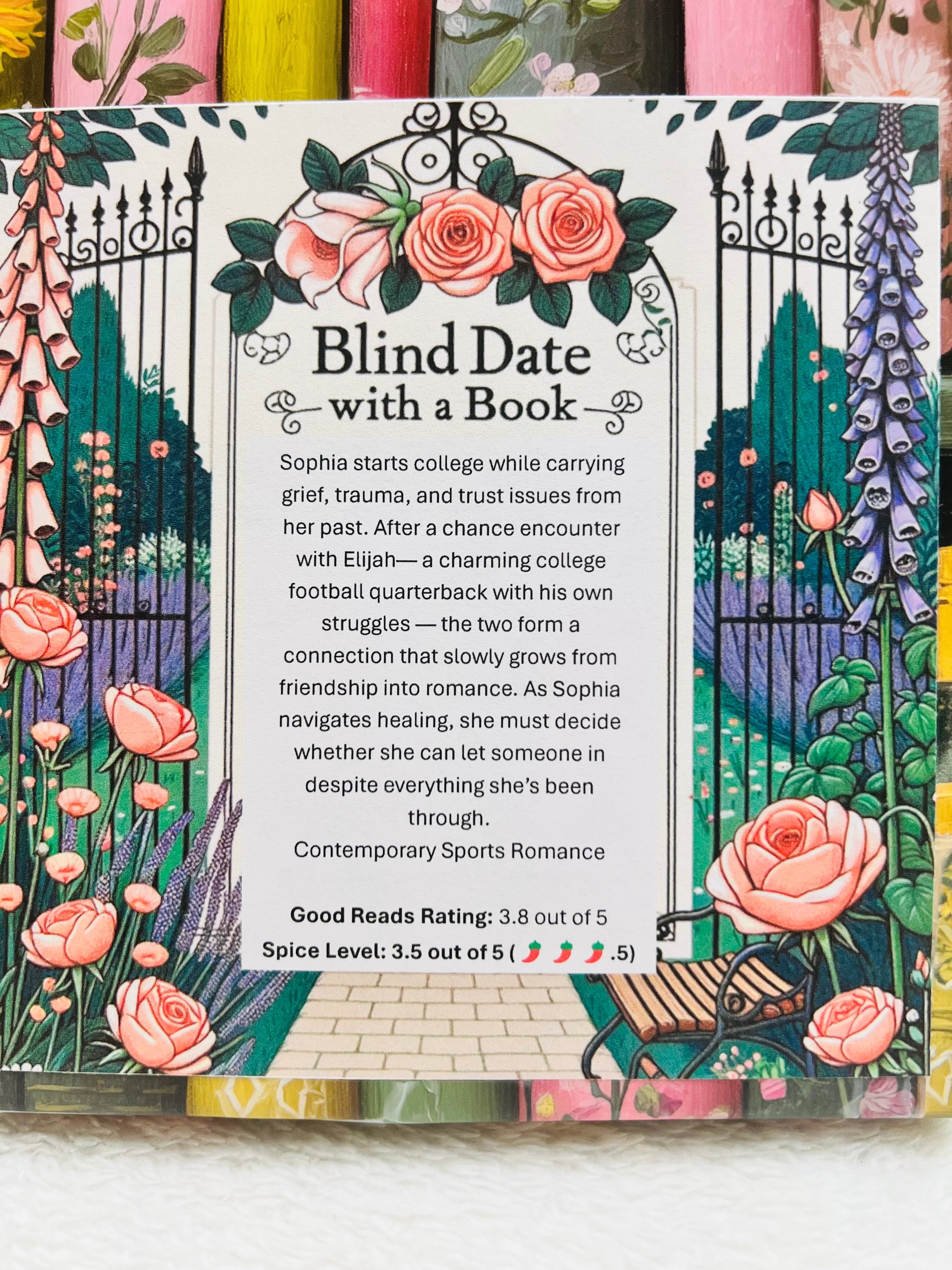 Contemporary Sports Romance - New/Like New Blind Date with a Book 318