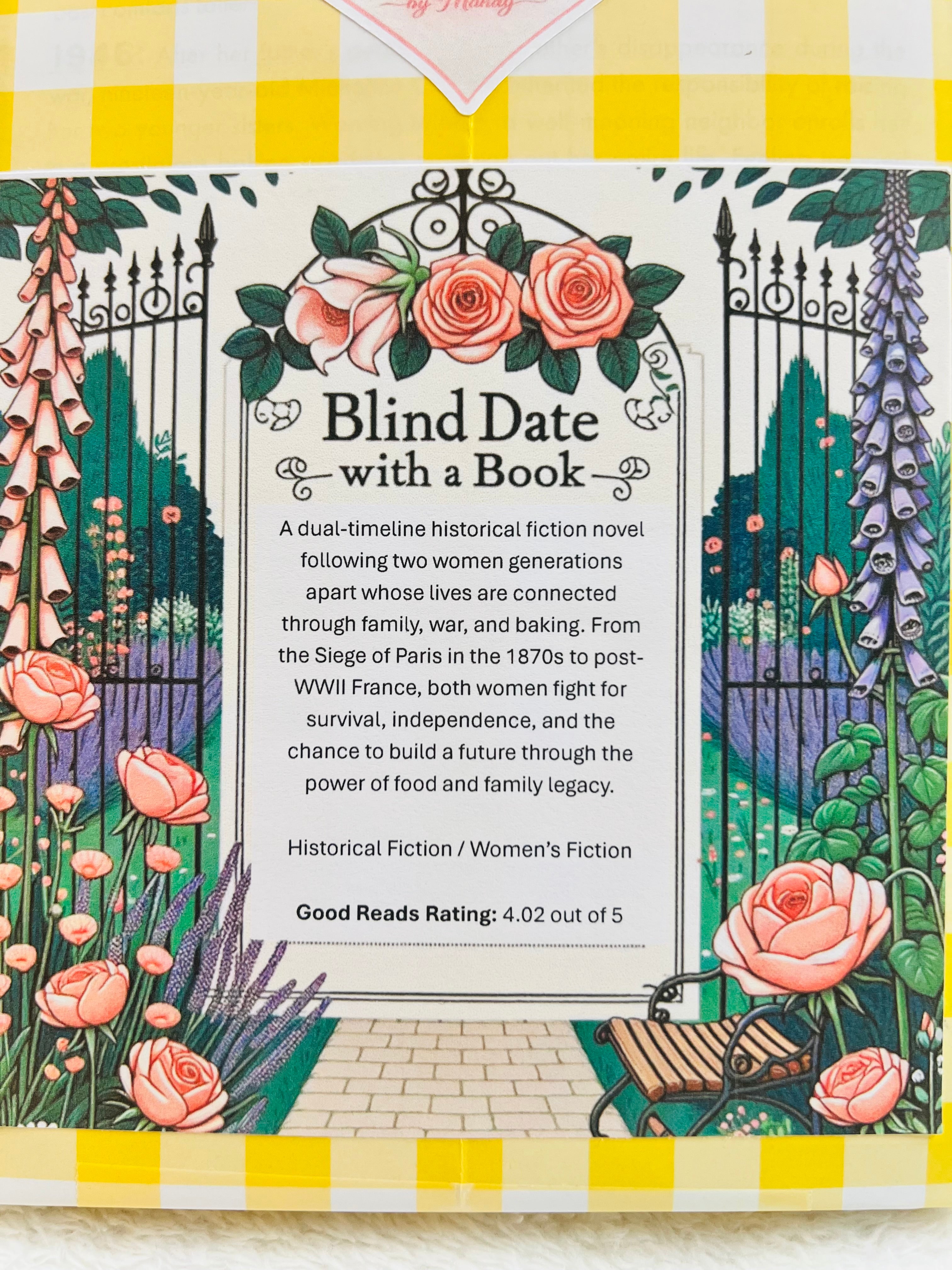 Historical Fiction / Women’s Fiction - New/Like New Blind Date with a Book 323
