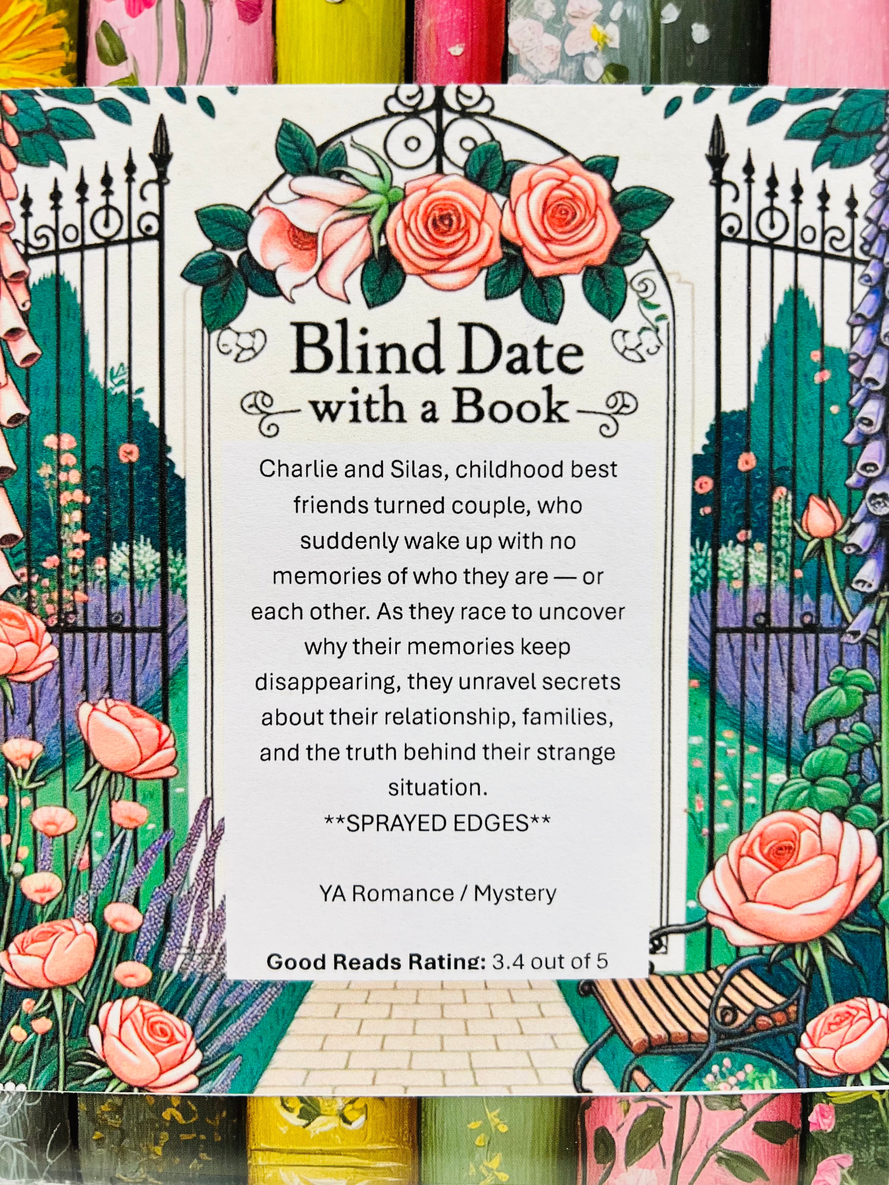 YA Romance / Mystery - Sprayed Edge Blind Date with a Book 330