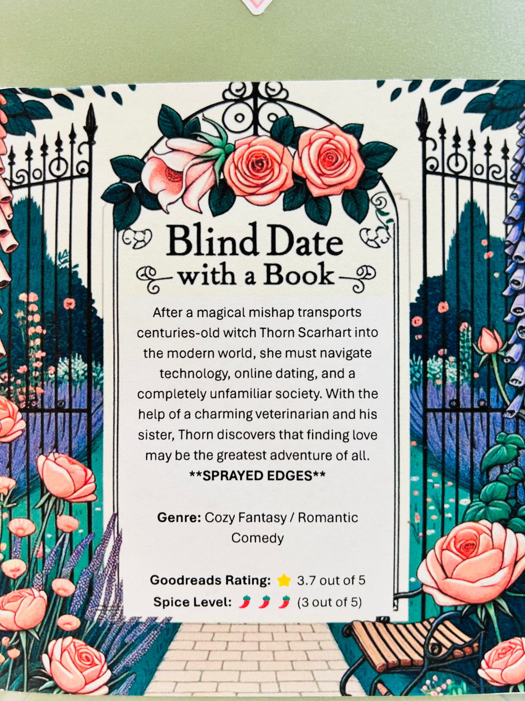 Cozy Fantasy / Romantic Comedy - Sprayed Edges Blind Date with a Book 350