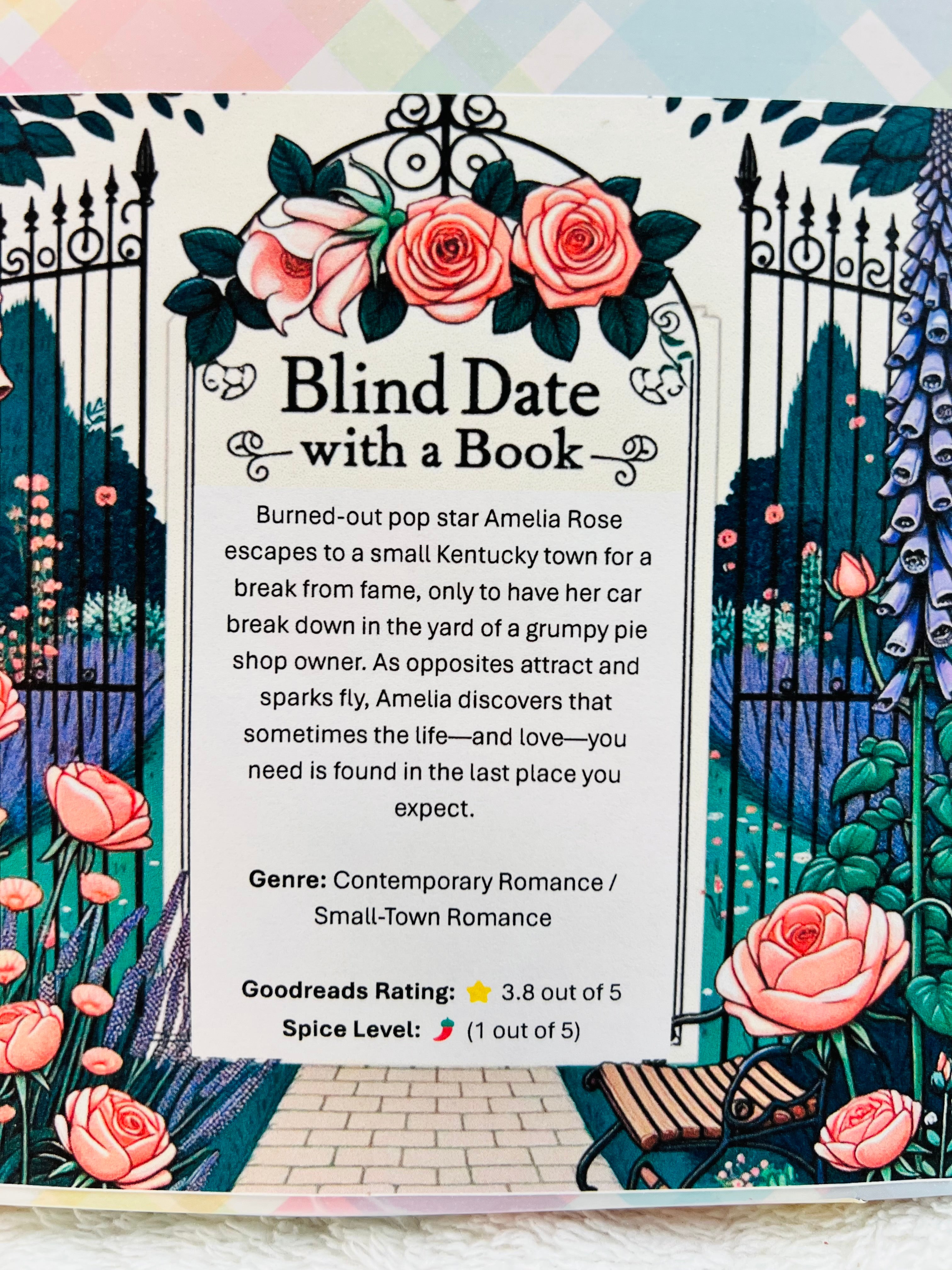 Contemporary Romance / Small-Town Romance - New/Like New Blind Date with a Book 357