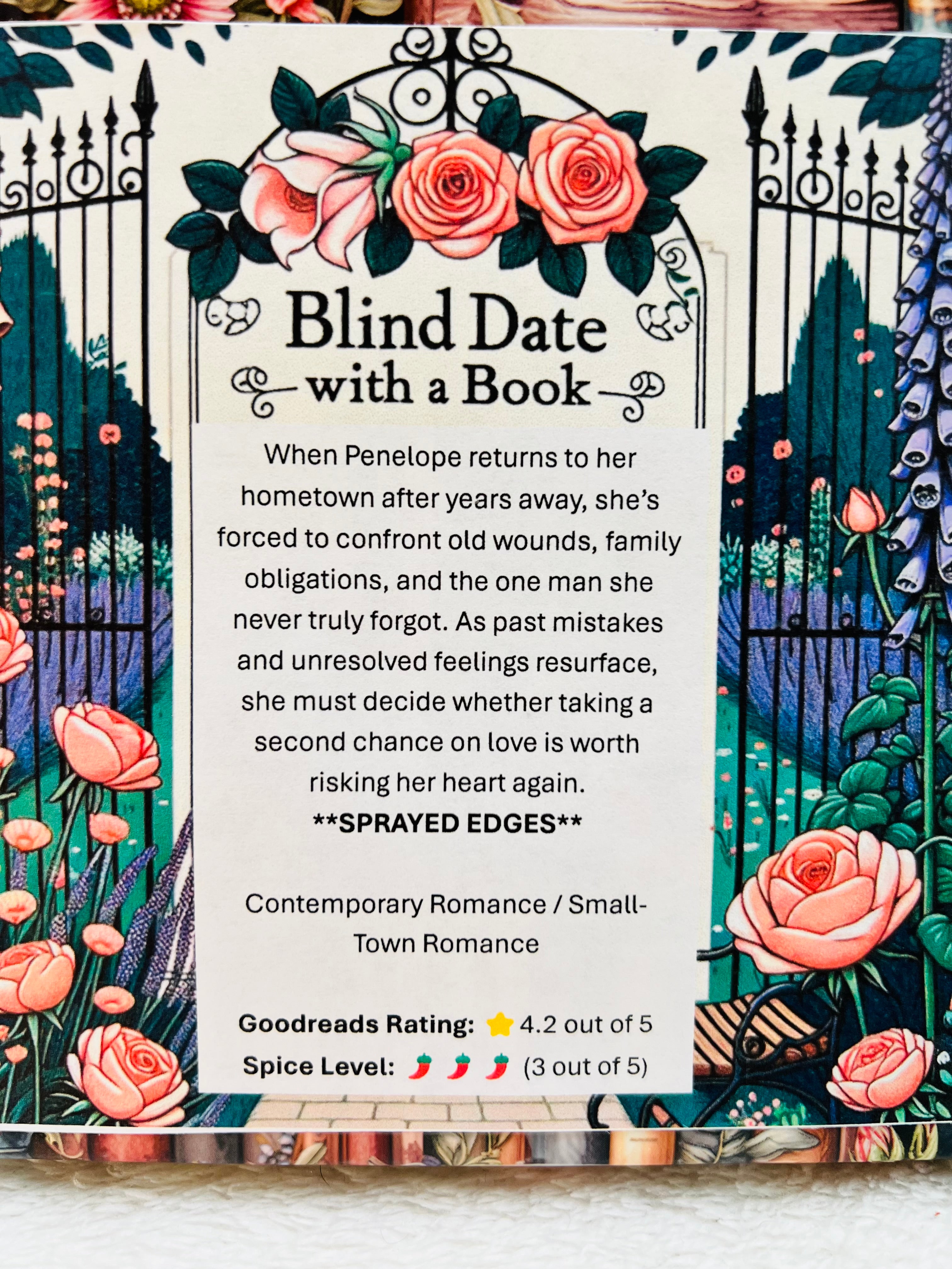 Contemporary Romance / Small-Town Romance - Sprayed Edges Blind Date with a Book 339