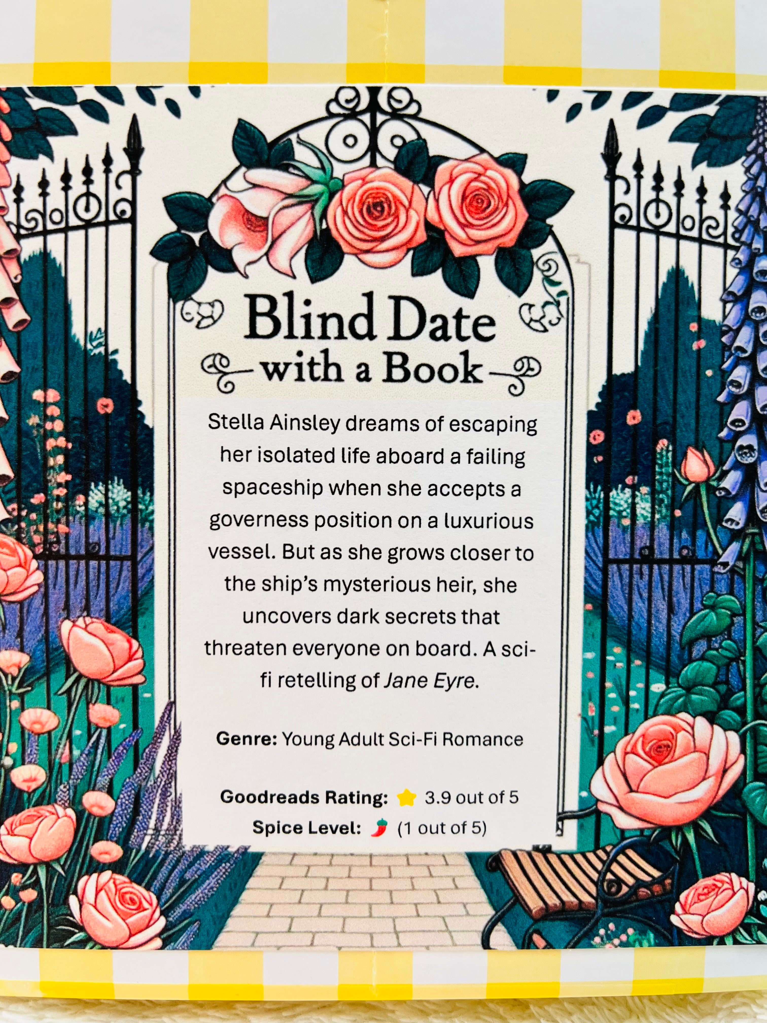 Young Adult Sci-Fi Romance - New/Like New Blind Date with a Book 346