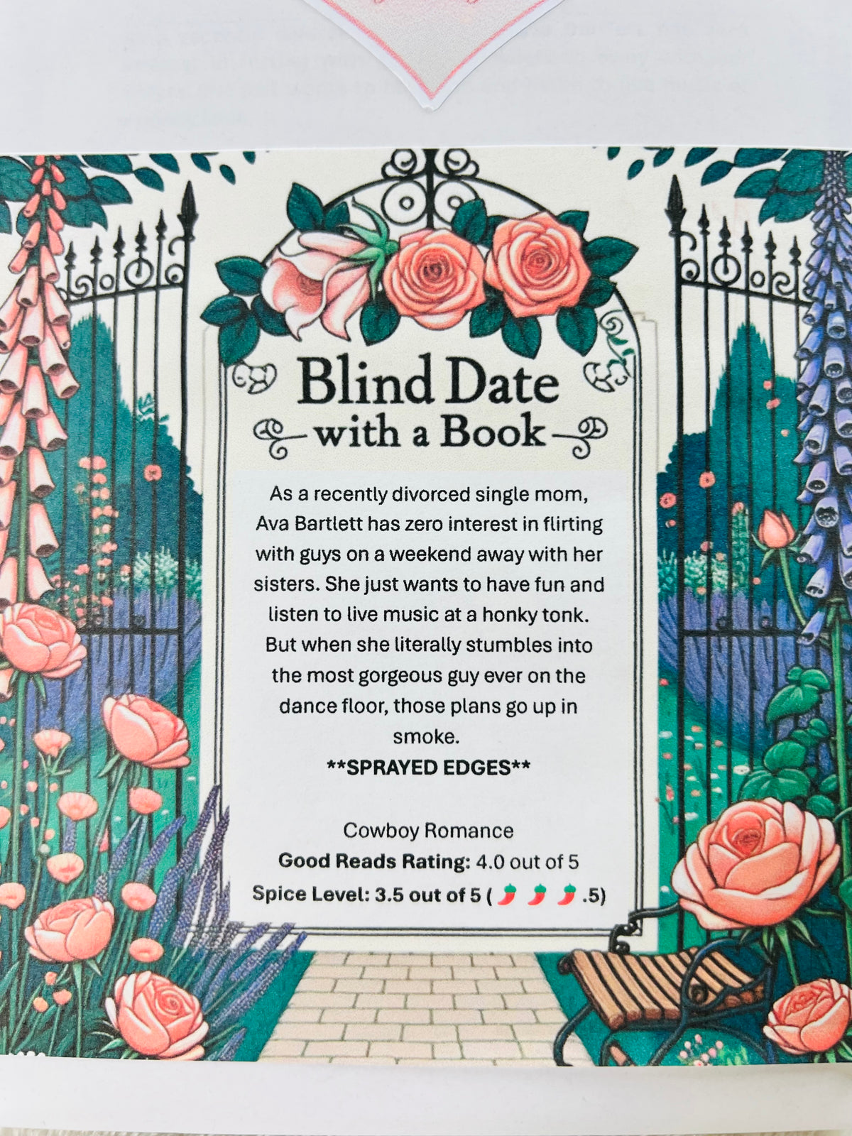 Cowboy Romance - Sprayed Edges Blind Date with a Book 159