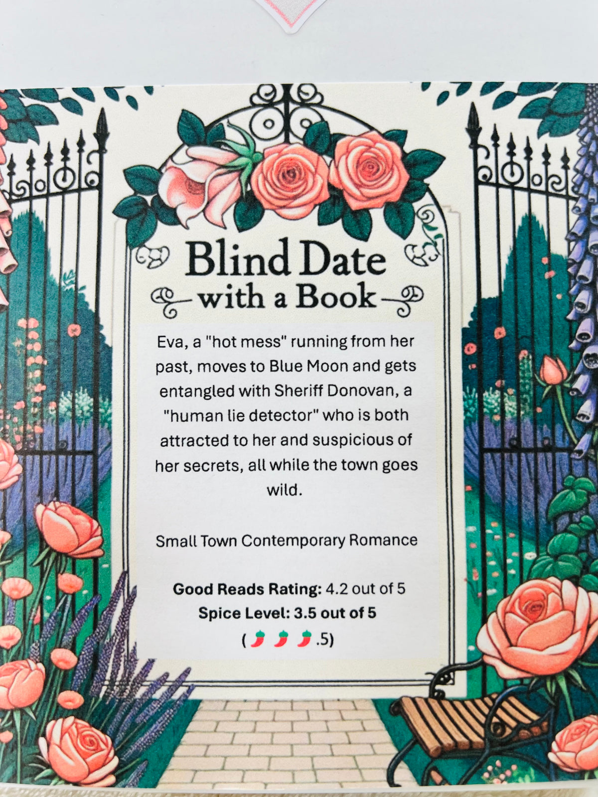 Small Town Contemporary Romance - New/Like New Blind Date with a Book 138