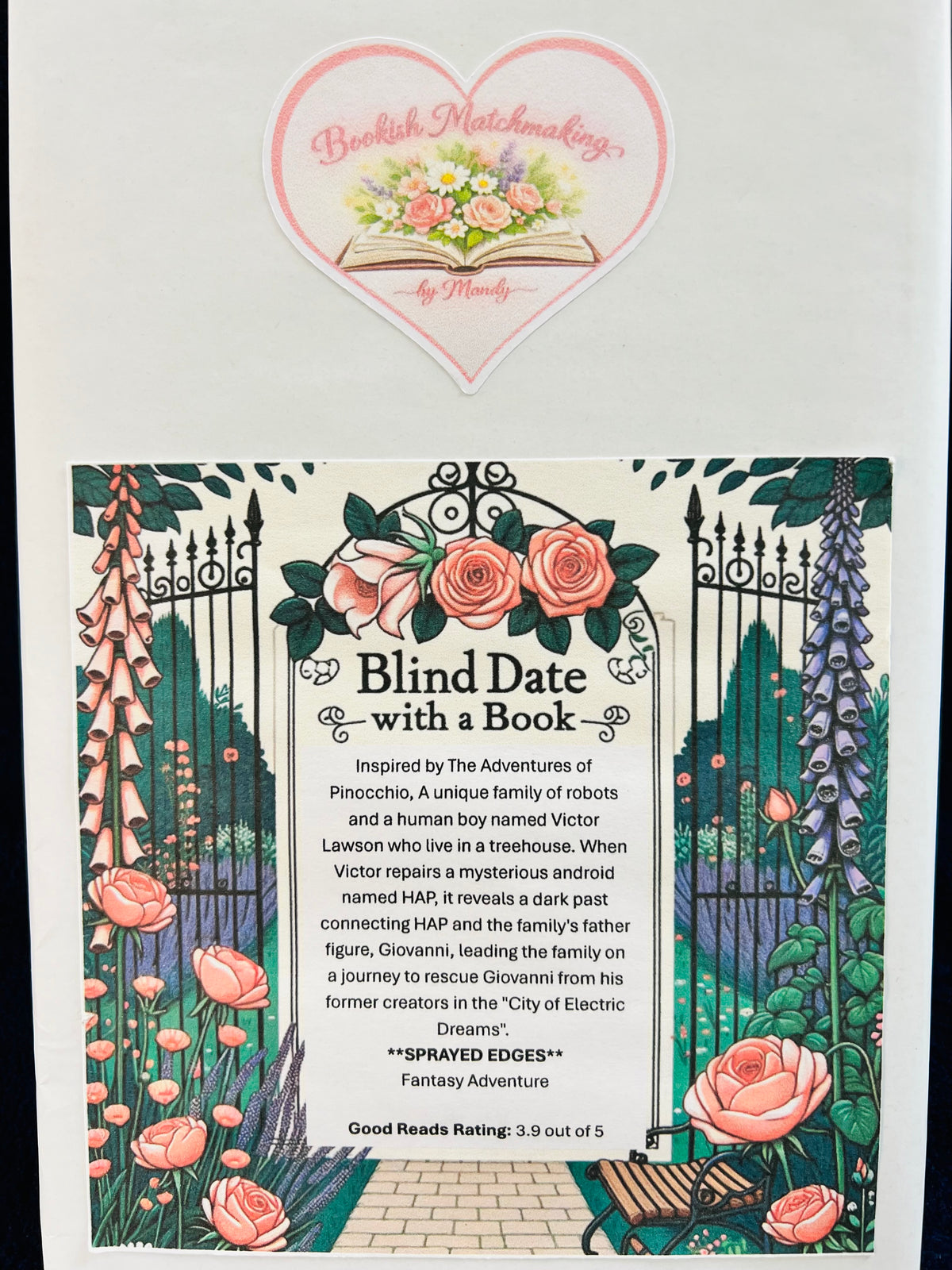 Fantasy Adventure - Sprayed Edges Blind Date with a Book 193