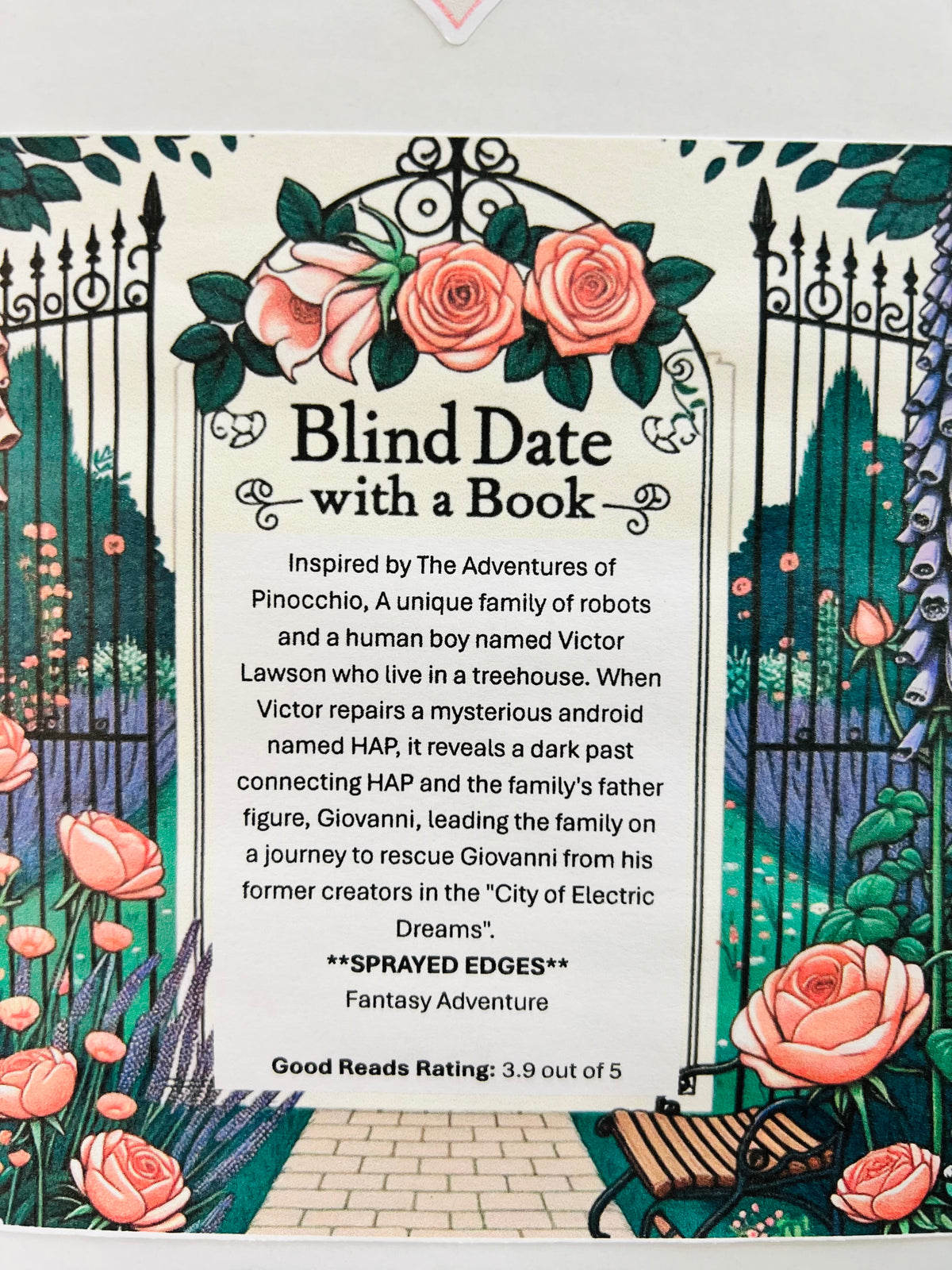 Fantasy Adventure - Sprayed Edges Blind Date with a Book 193