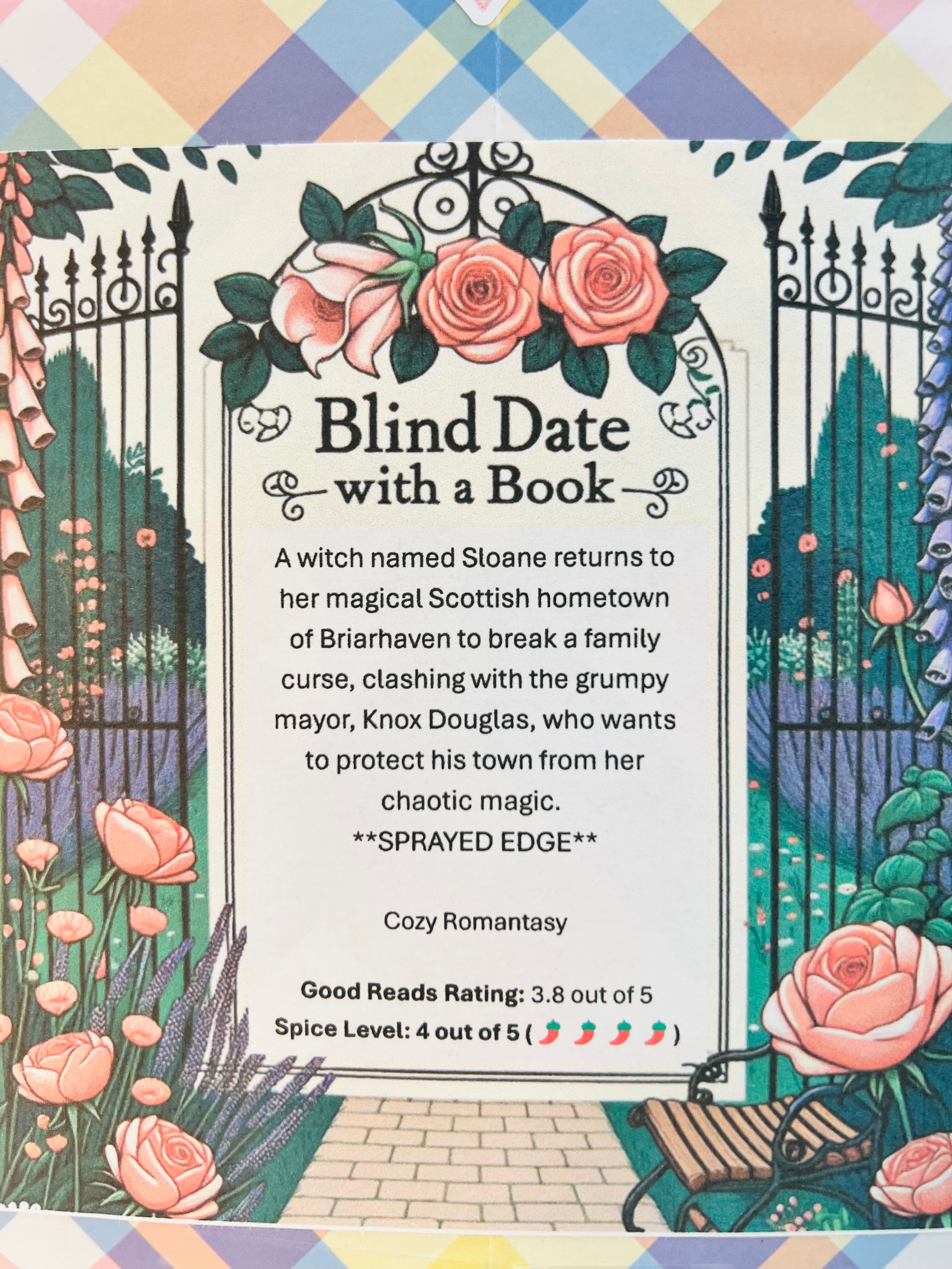 Cozy Romantic Fantasy - Sprayed Edge Blind Date with a Book 186